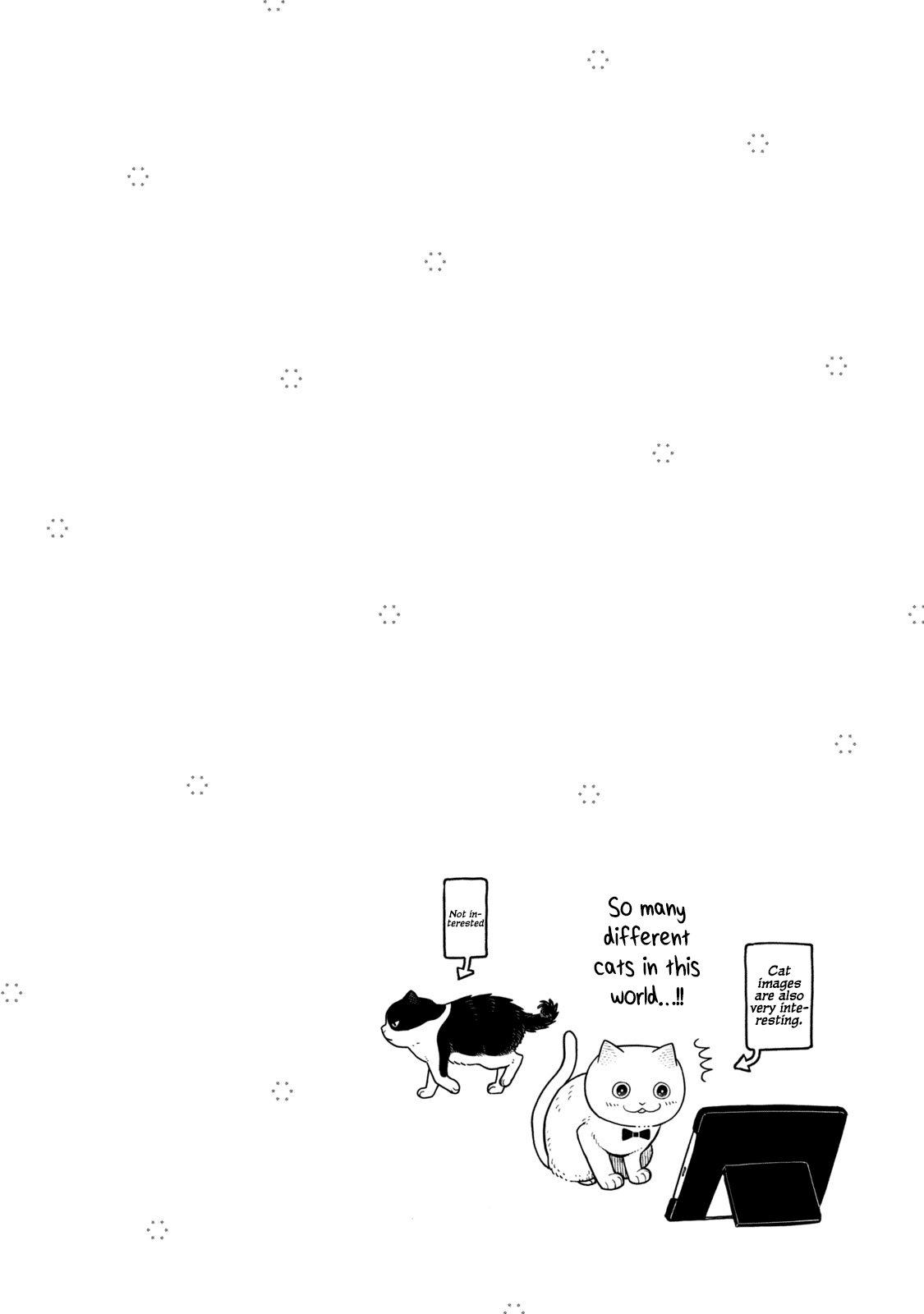 Cat Partners: Maruru and Hachi chapter 21.2 page 2