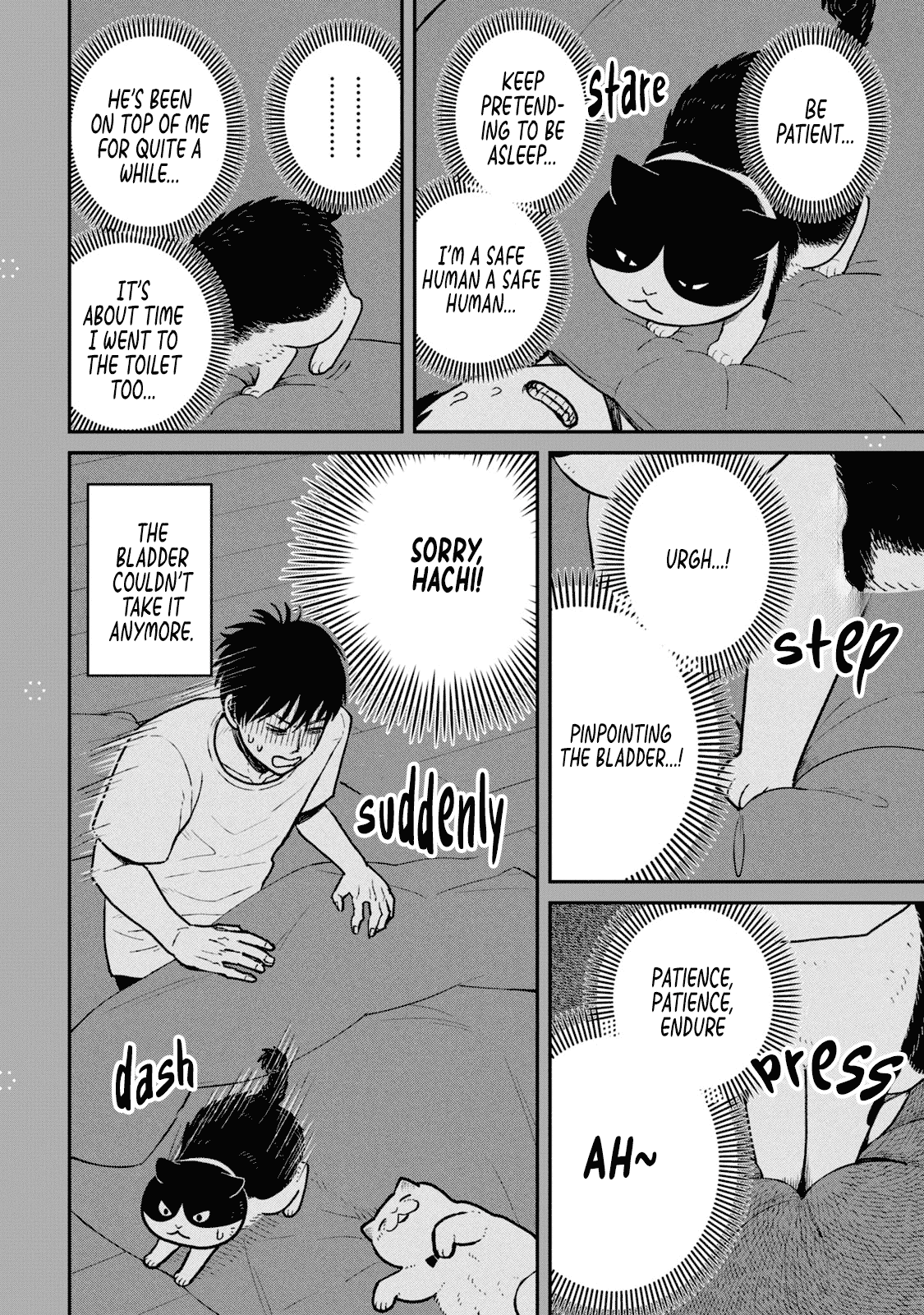 Cat Partners: Maruru and Hachi chapter 22.1 page 2