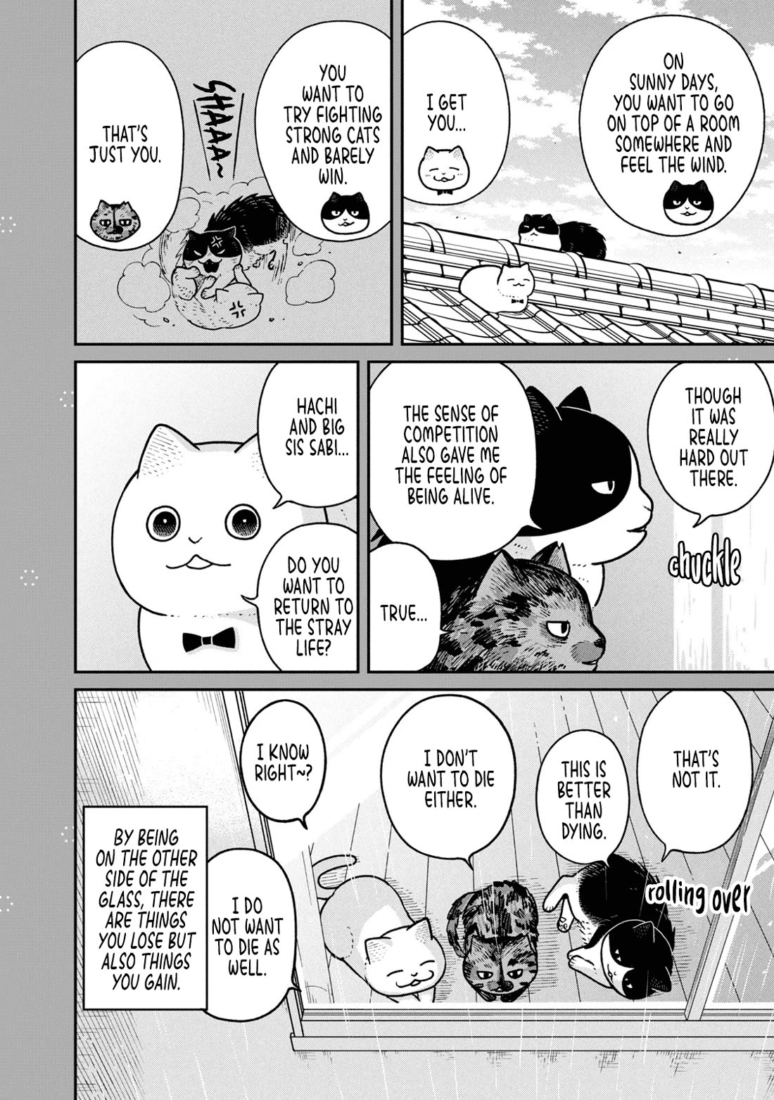 Cat Partners: Maruru and Hachi chapter 22.2 page 2