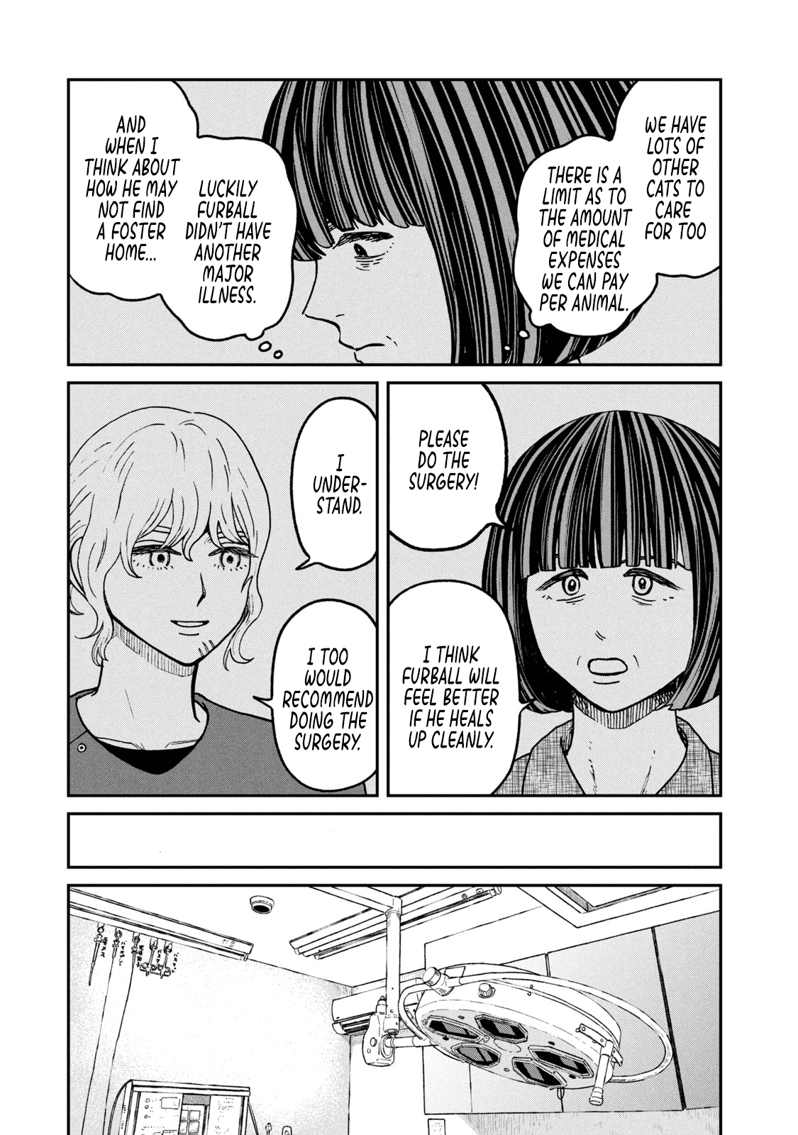 Cat Partners: Maruru and Hachi chapter 24 page 11
