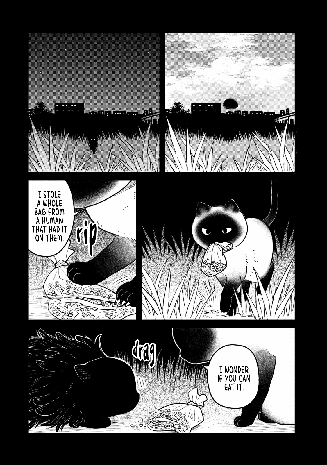 Cat Partners: Maruru and Hachi chapter 25 page 11