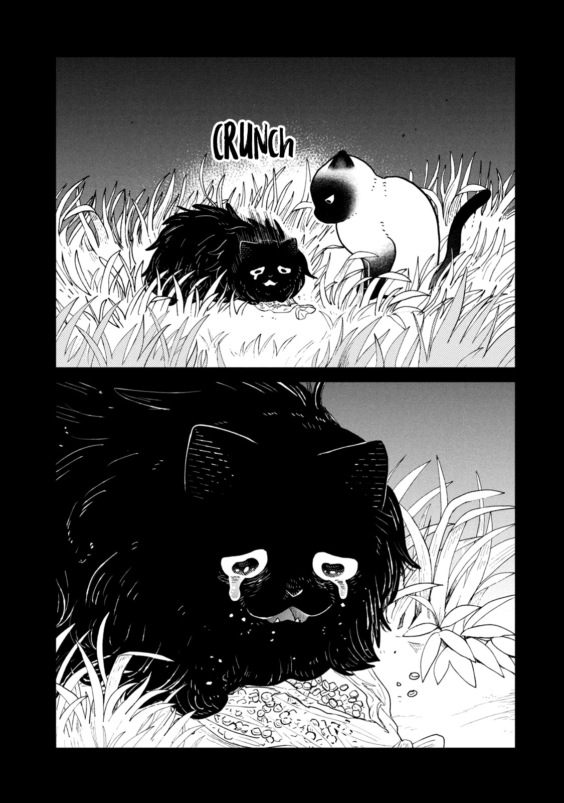 Cat Partners: Maruru and Hachi chapter 25 page 12