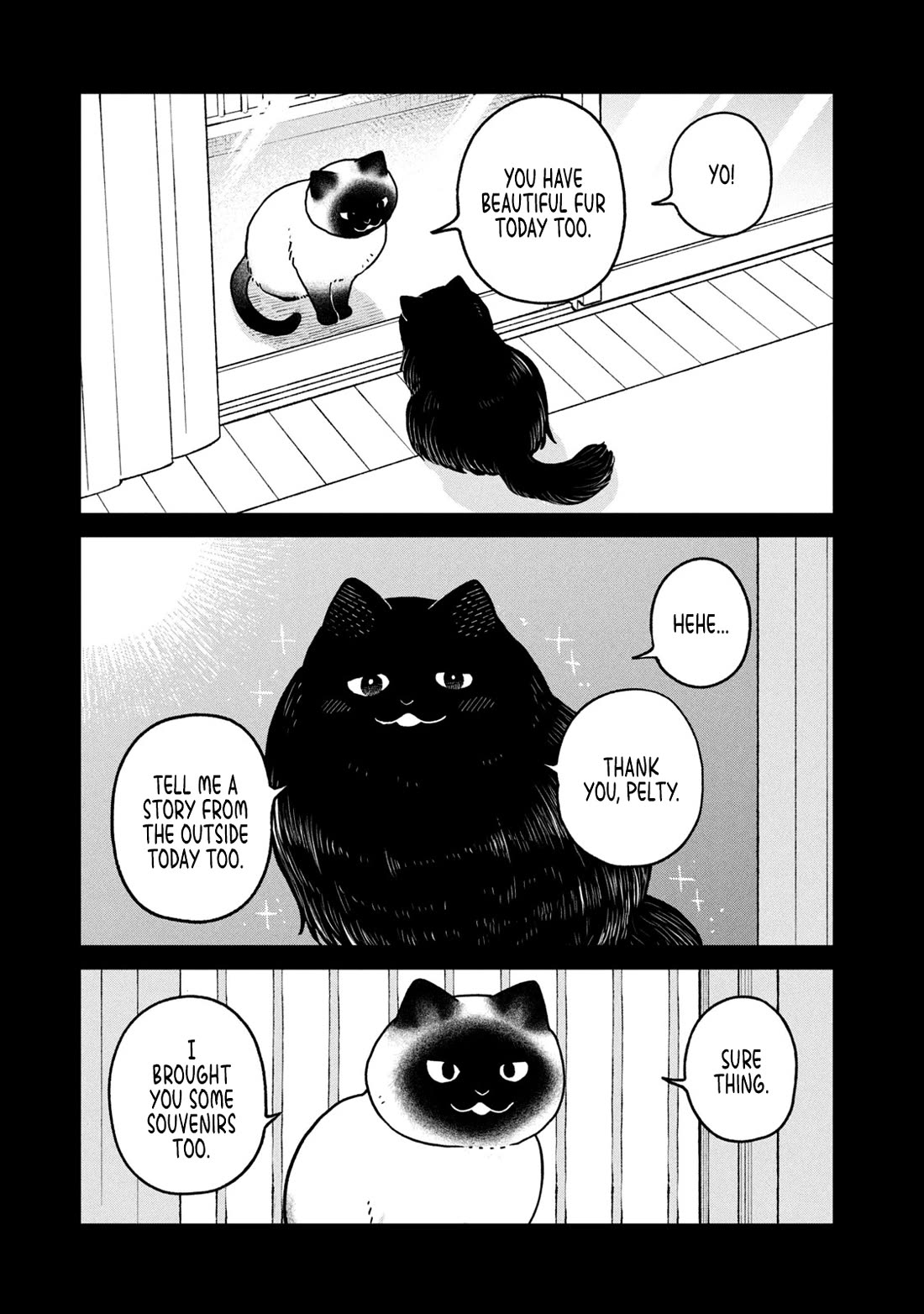 Cat Partners: Maruru and Hachi chapter 25 page 3