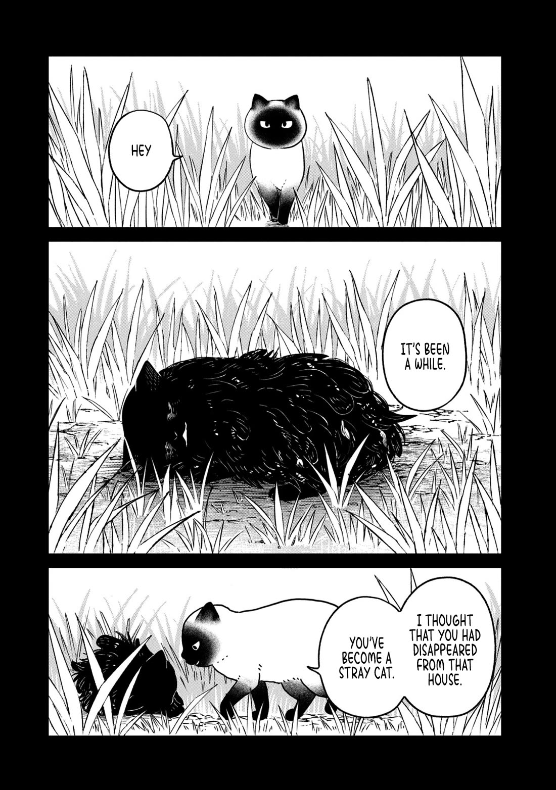 Cat Partners: Maruru and Hachi chapter 25 page 9