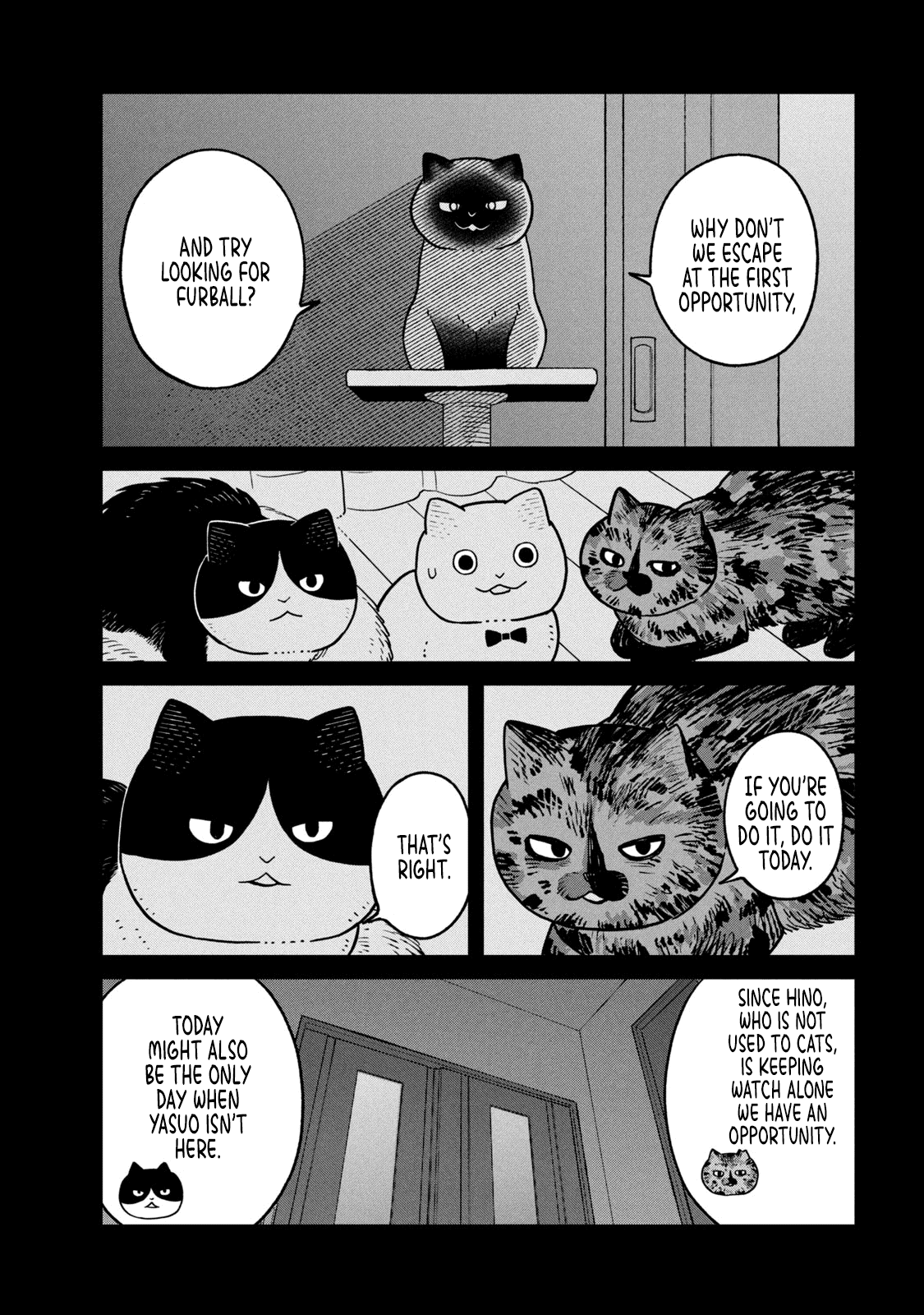 Cat Partners: Maruru and Hachi chapter 27 page 10