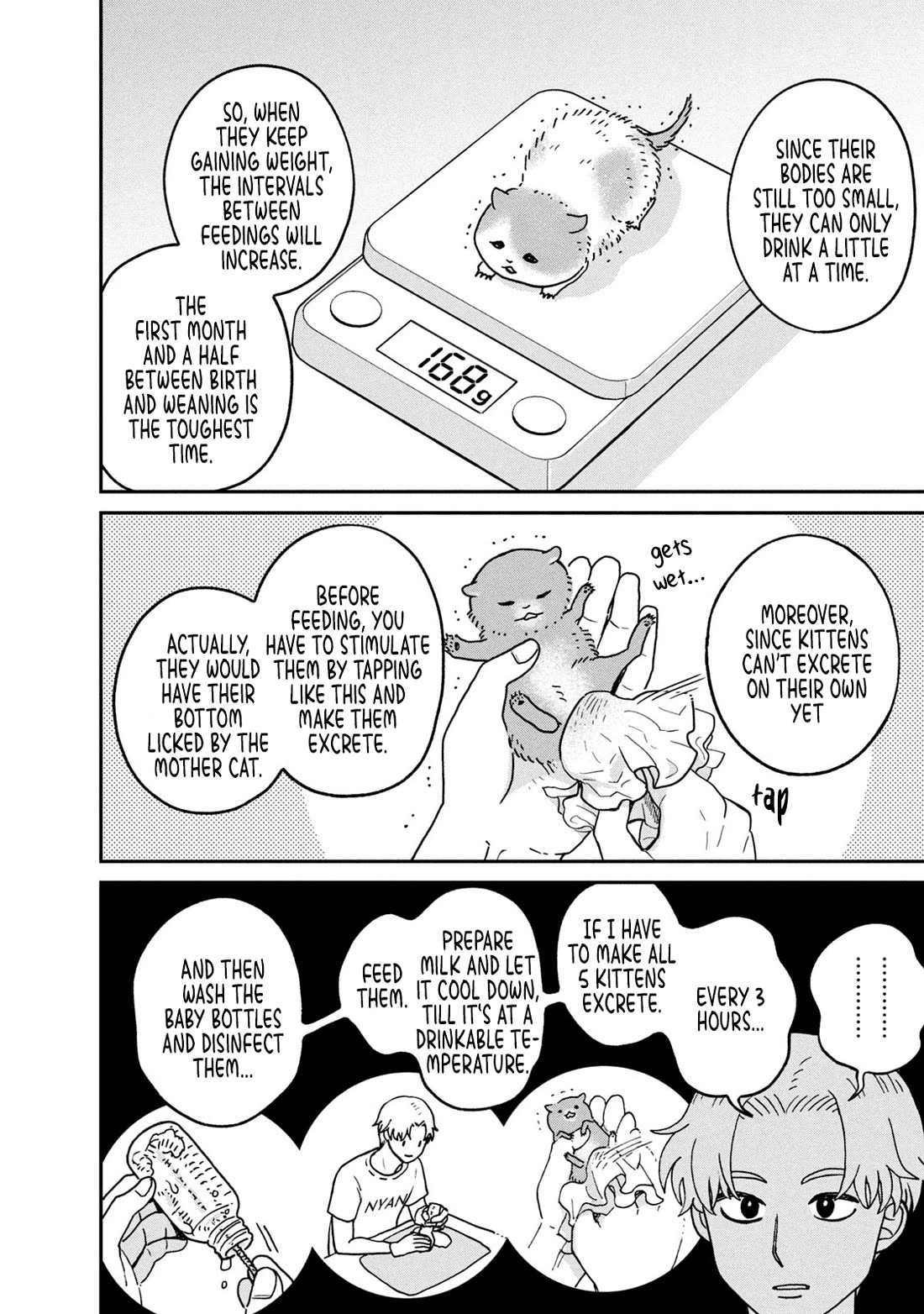 Cat Partners: Maruru and Hachi chapter 27 page 2