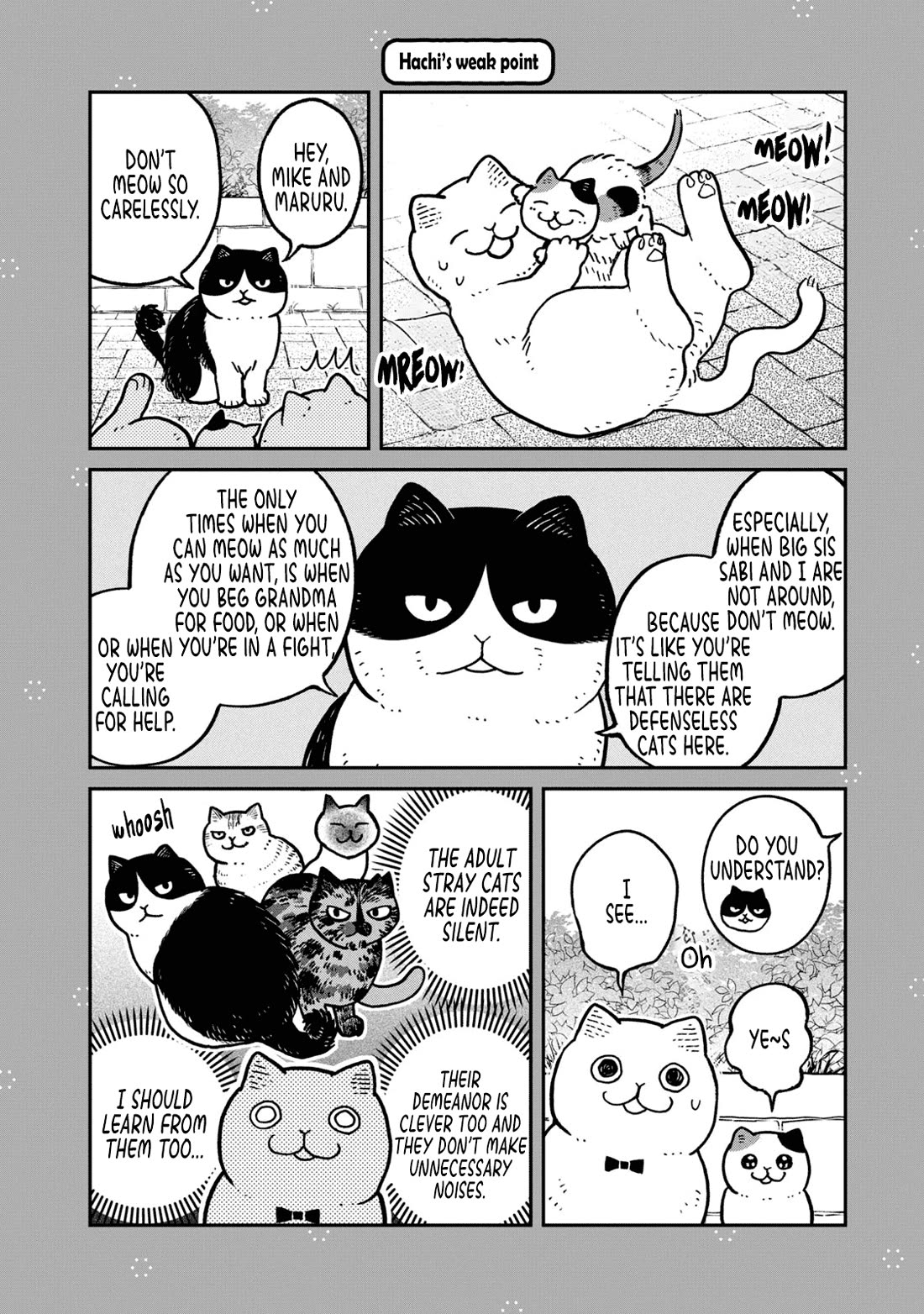 Cat Partners: Maruru and Hachi chapter 28.1 page 1