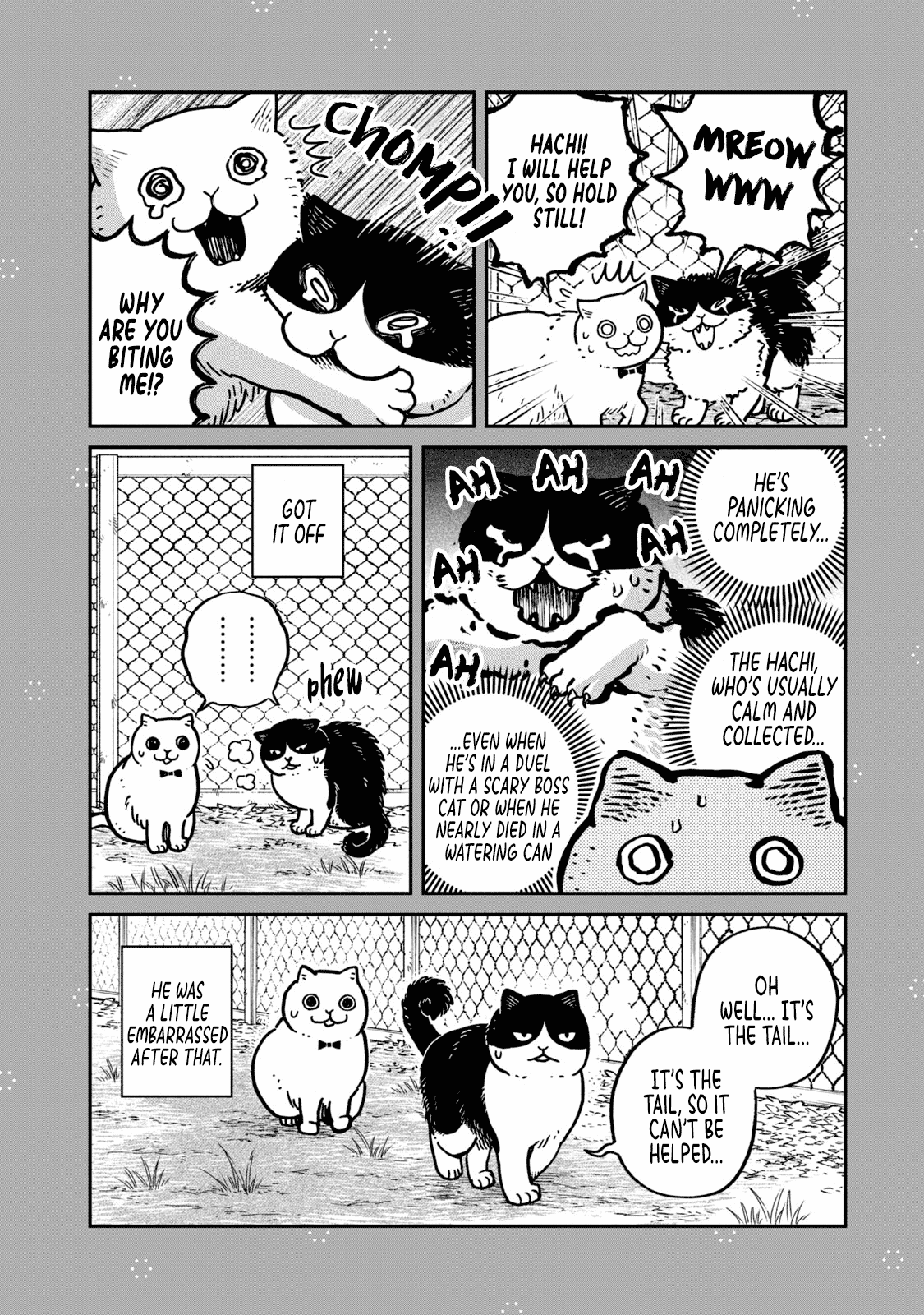 Cat Partners: Maruru and Hachi chapter 28.1 page 3