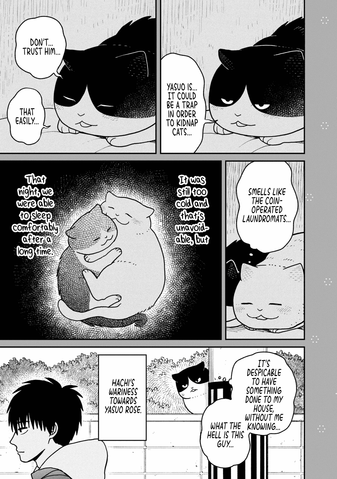 Cat Partners: Maruru and Hachi chapter 28.1 page 8