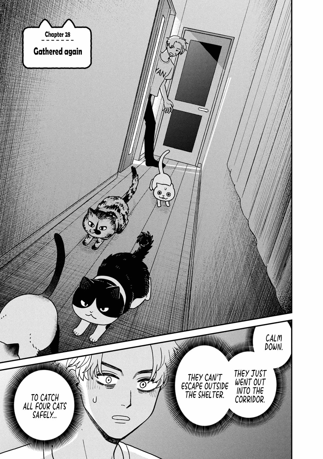 Cat Partners: Maruru and Hachi chapter 28 page 1