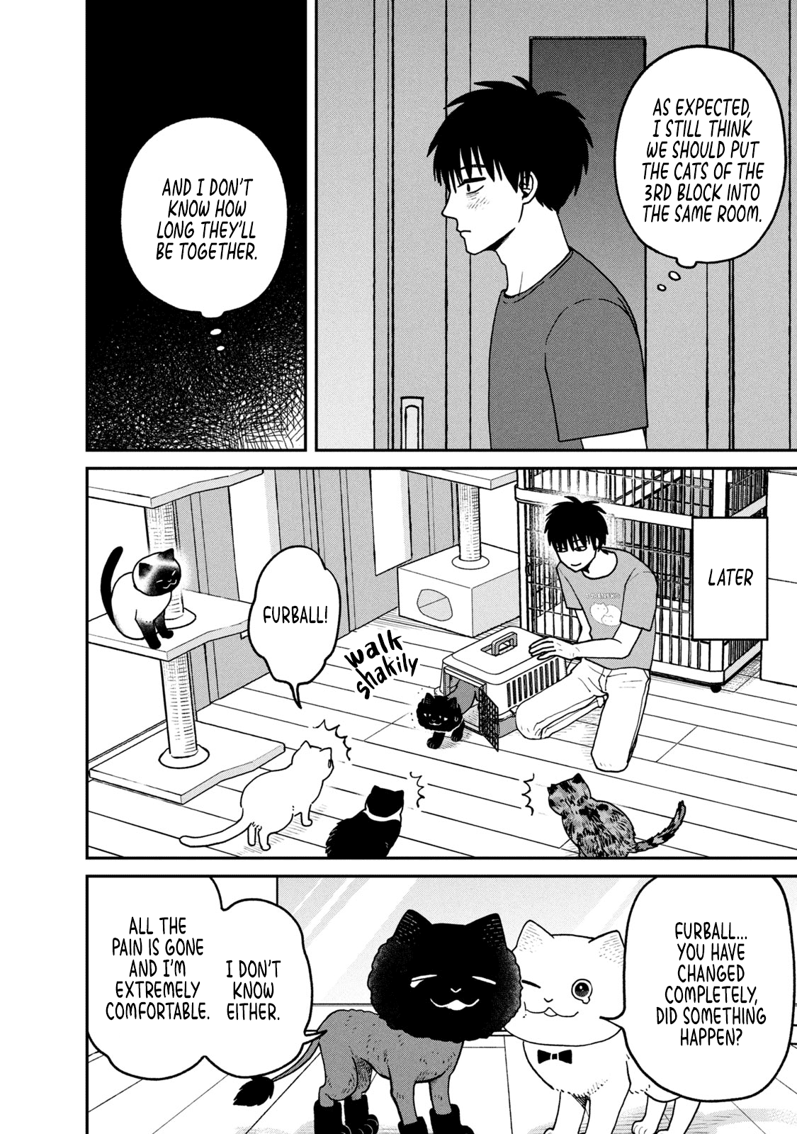 Cat Partners: Maruru and Hachi chapter 28 page 10