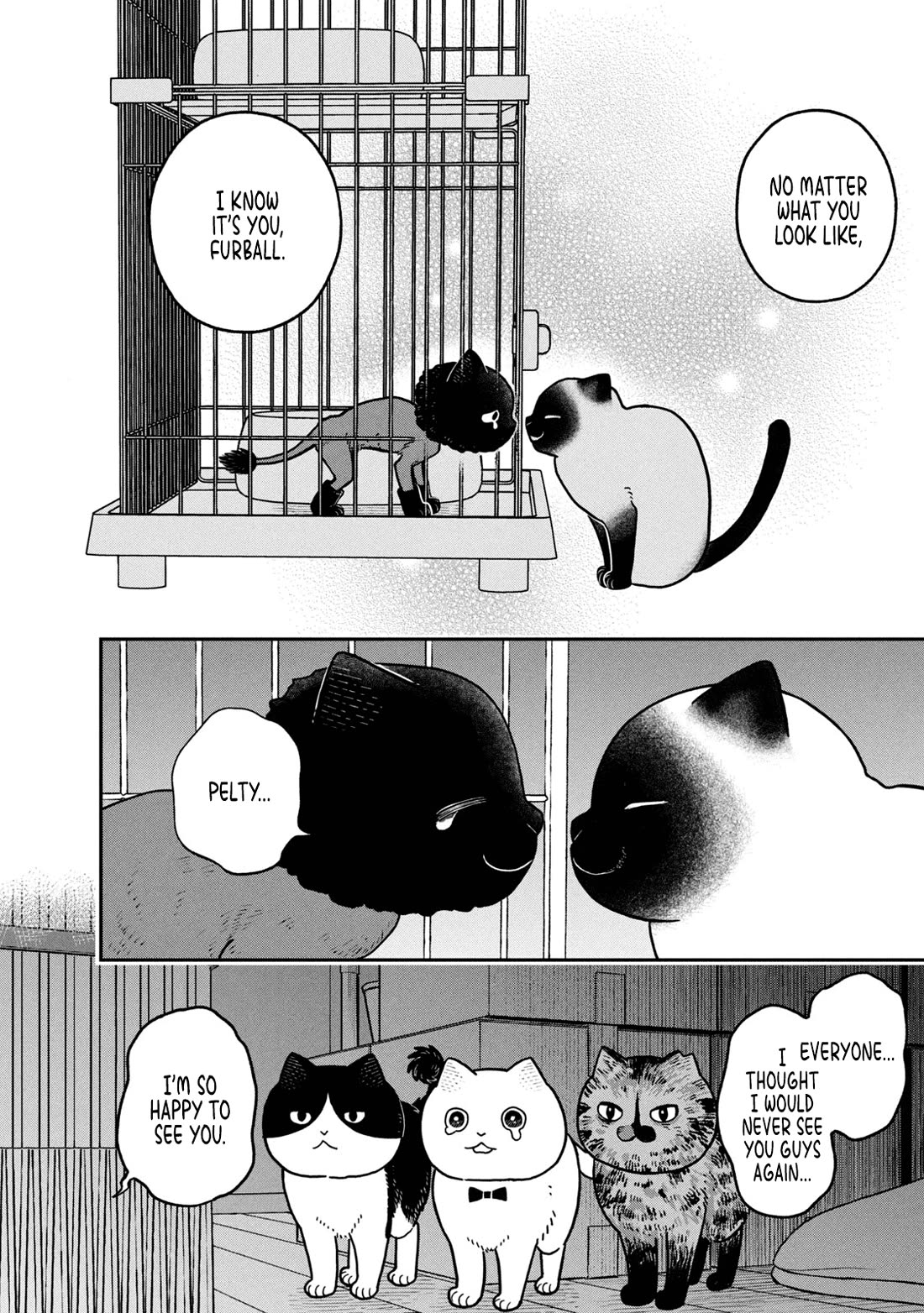 Cat Partners: Maruru and Hachi chapter 28 page 6