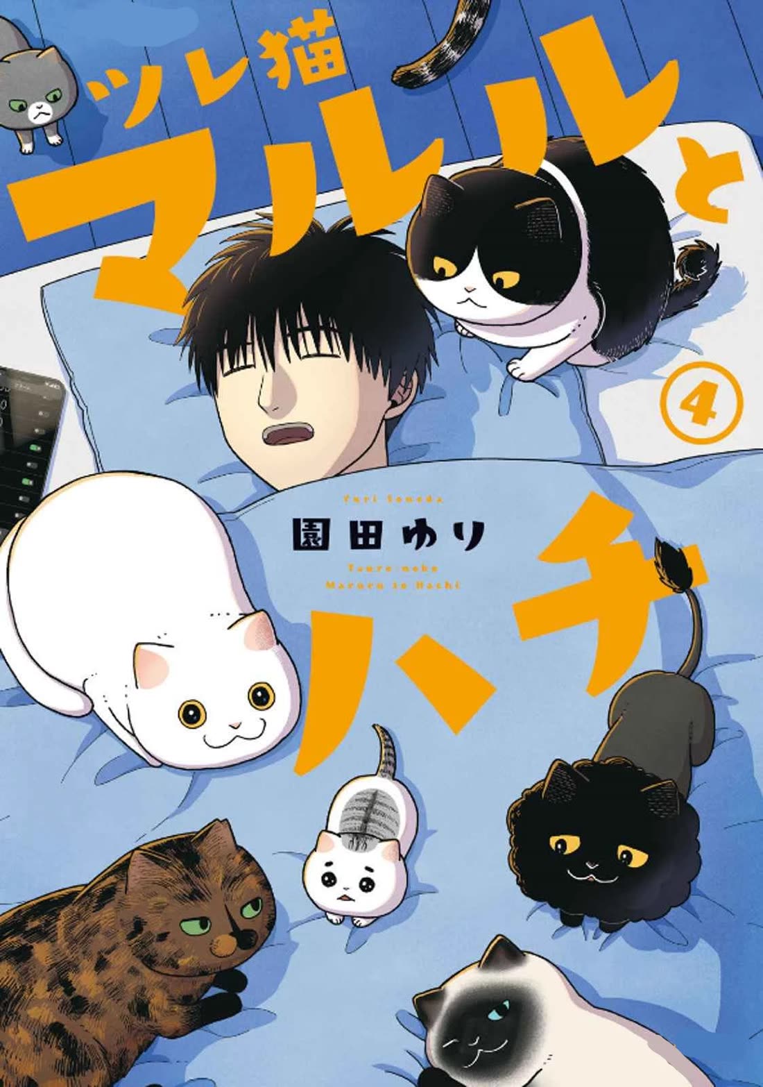 Cat Partners: Maruru and Hachi chapter 29 page 1