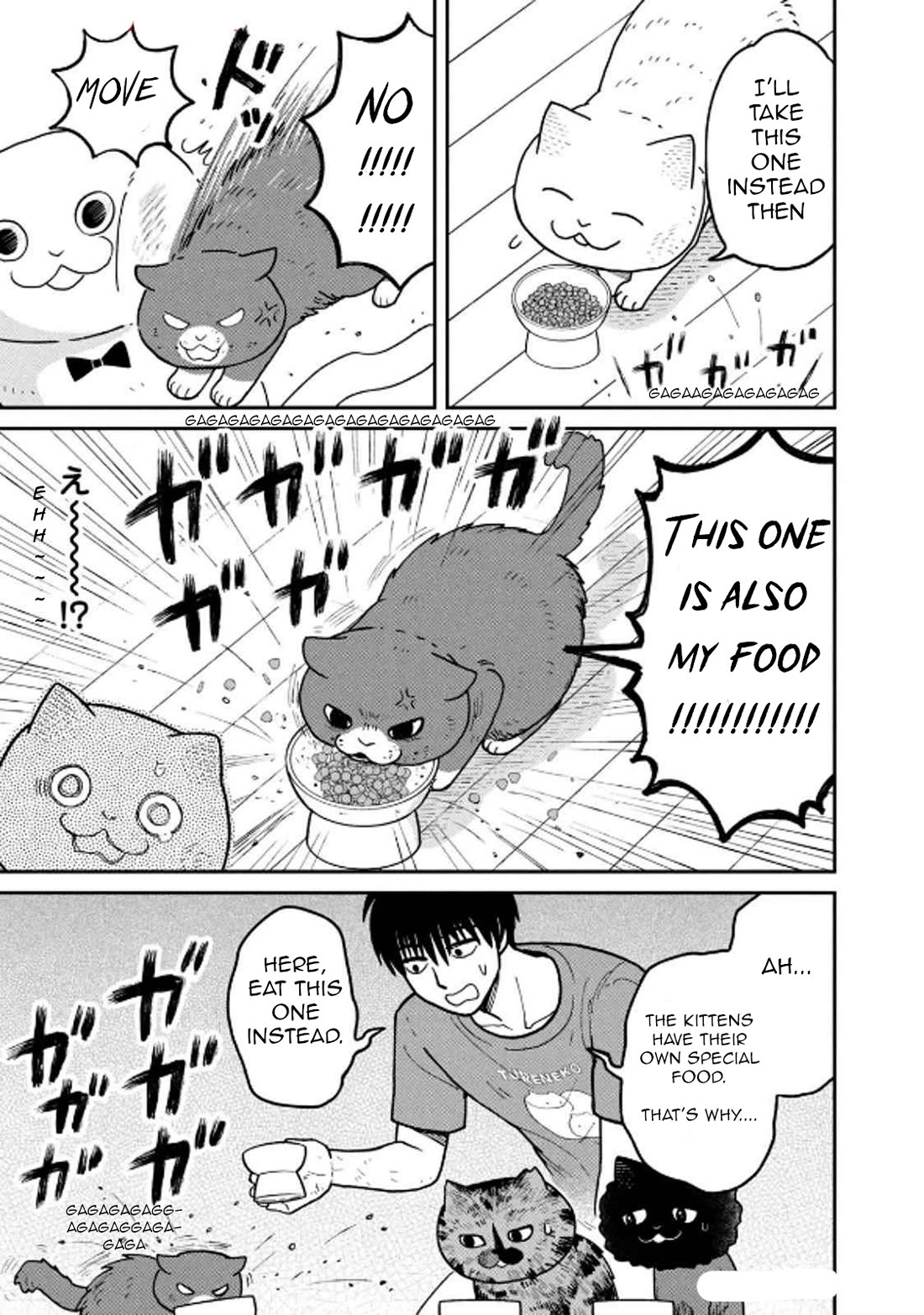 Cat Partners: Maruru and Hachi chapter 29 page 13