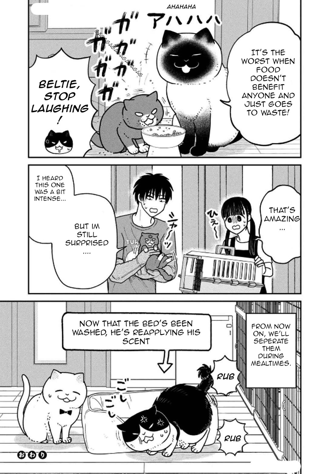 Cat Partners: Maruru and Hachi chapter 29 page 17