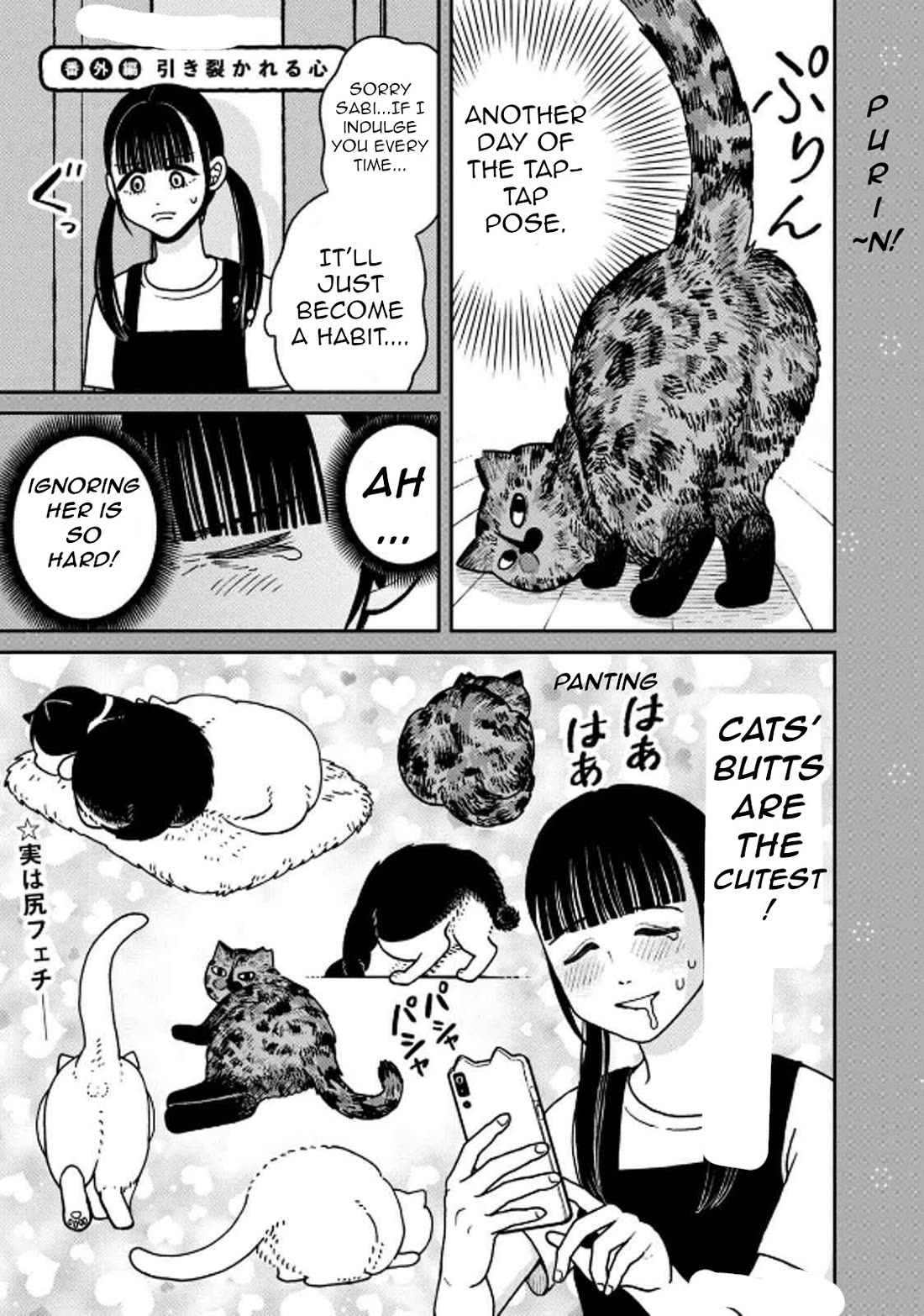 Cat Partners: Maruru and Hachi chapter 29 page 19