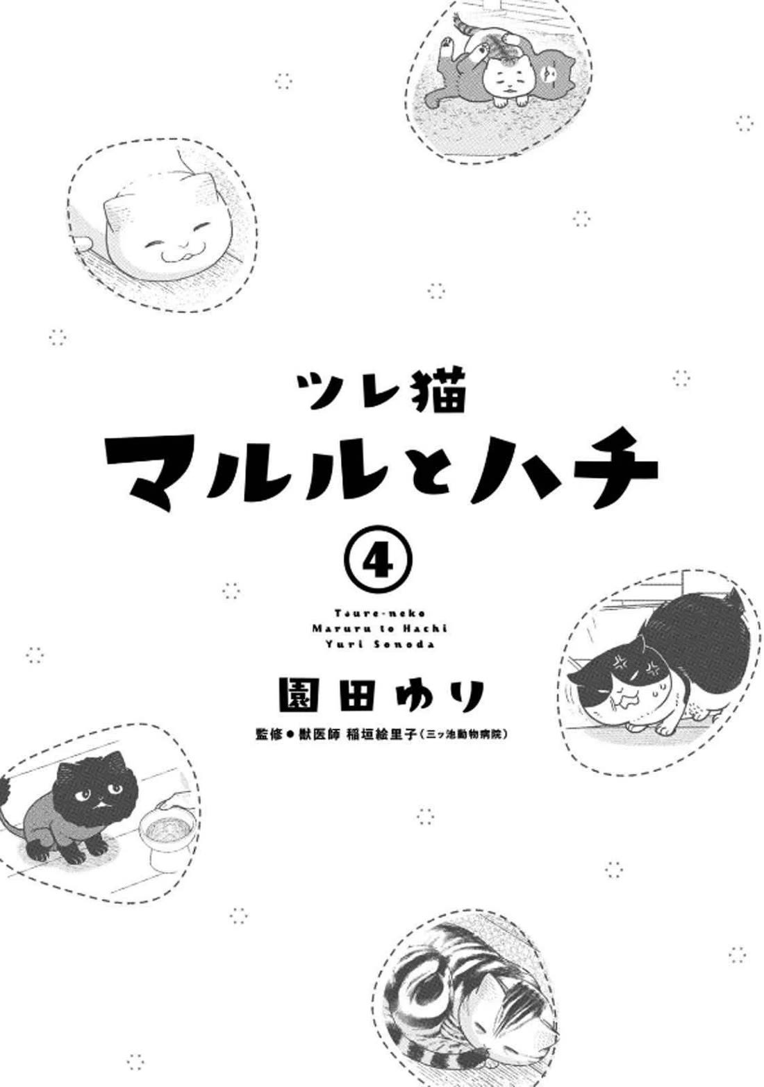 Cat Partners: Maruru and Hachi chapter 29 page 3