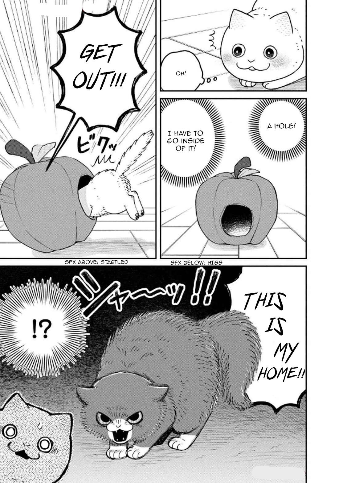 Cat Partners: Maruru and Hachi chapter 29 page 7