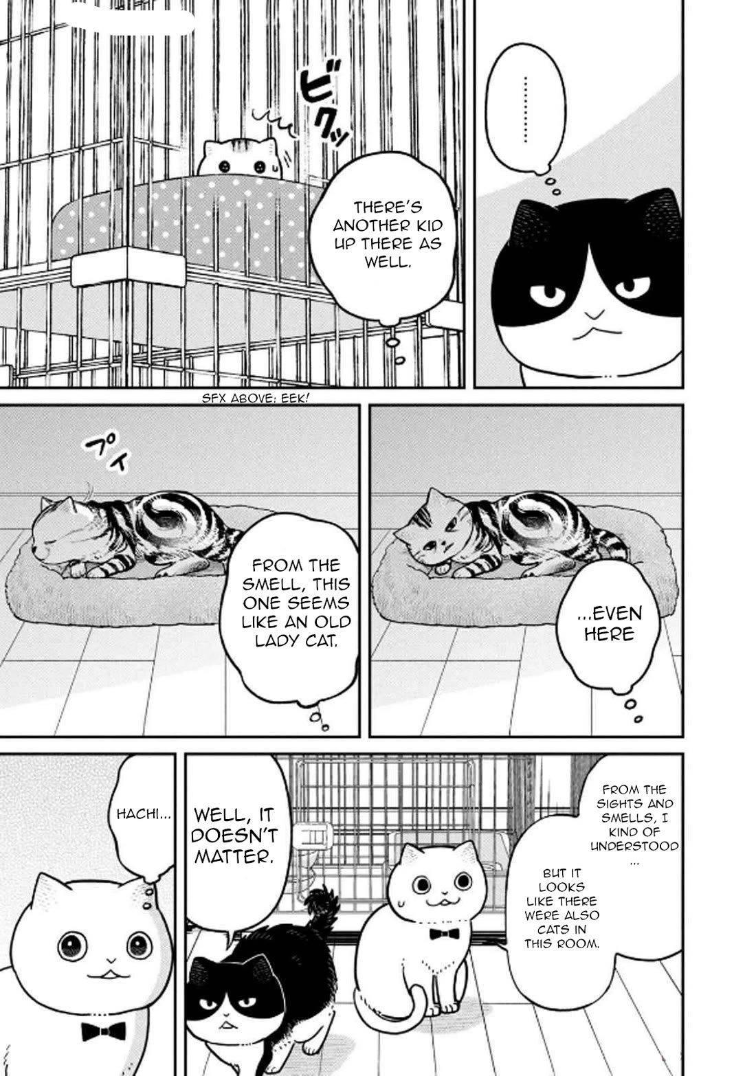Cat Partners: Maruru and Hachi chapter 29 page 9