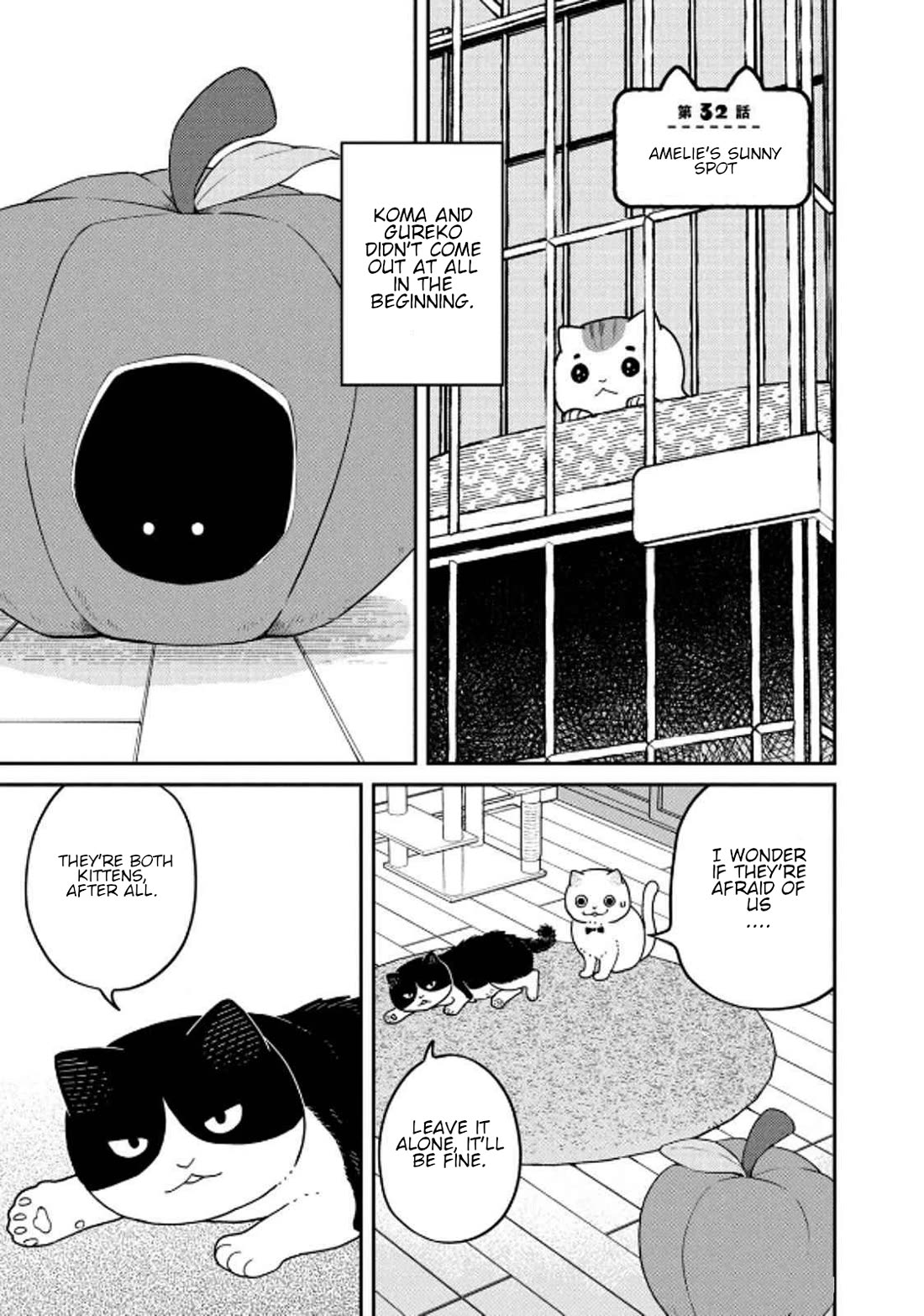 Cat Partners: Maruru and Hachi chapter 32 page 1