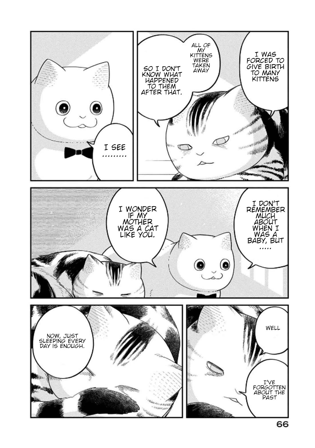 Cat Partners: Maruru and Hachi chapter 32 page 10