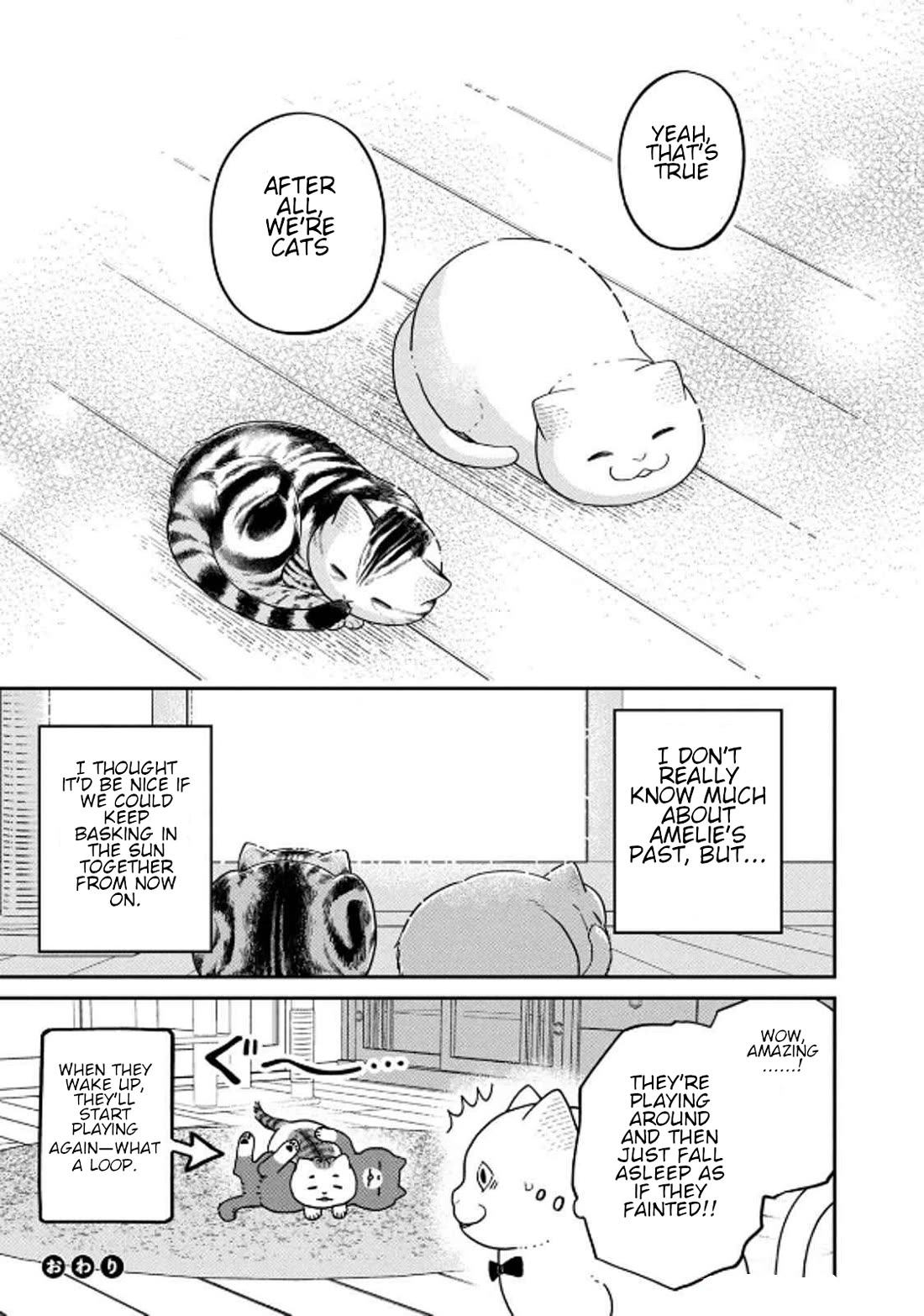 Cat Partners: Maruru and Hachi chapter 32 page 11