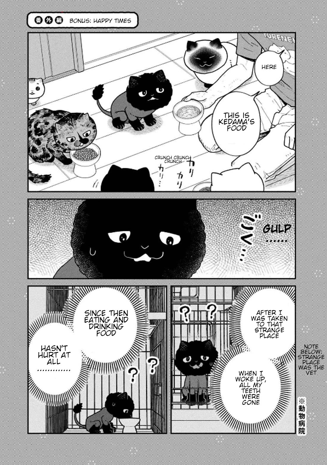 Cat Partners: Maruru and Hachi chapter 32 page 13