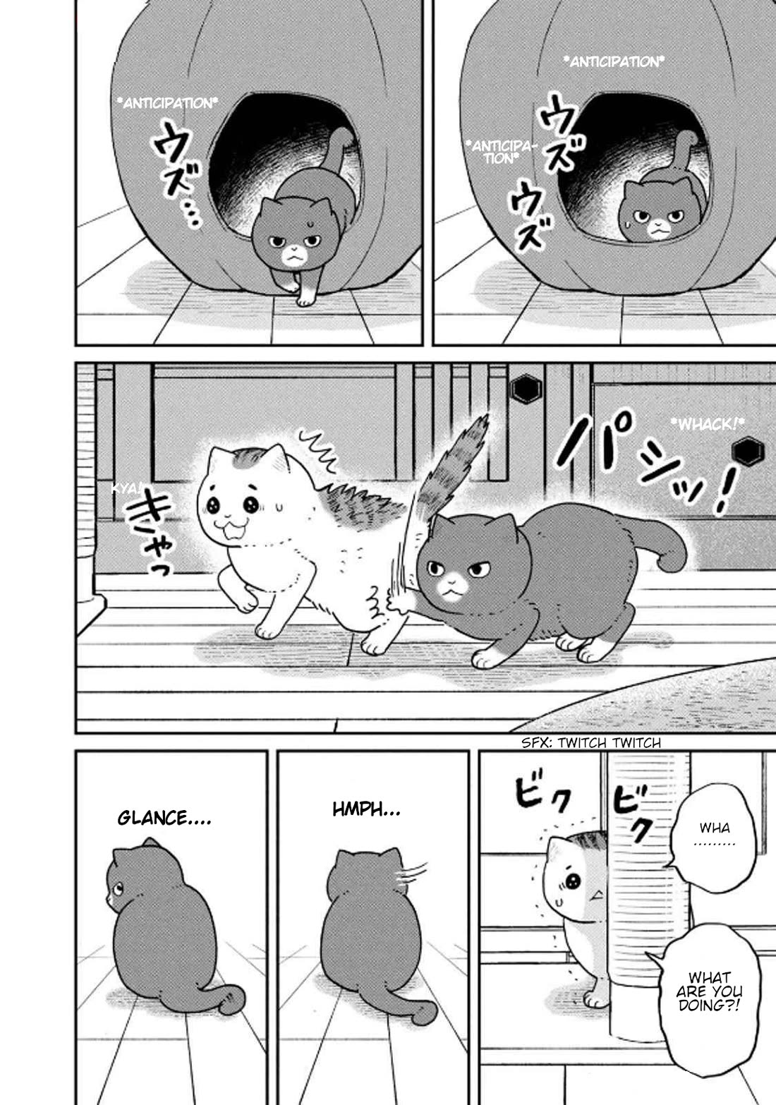 Cat Partners: Maruru and Hachi chapter 32 page 2