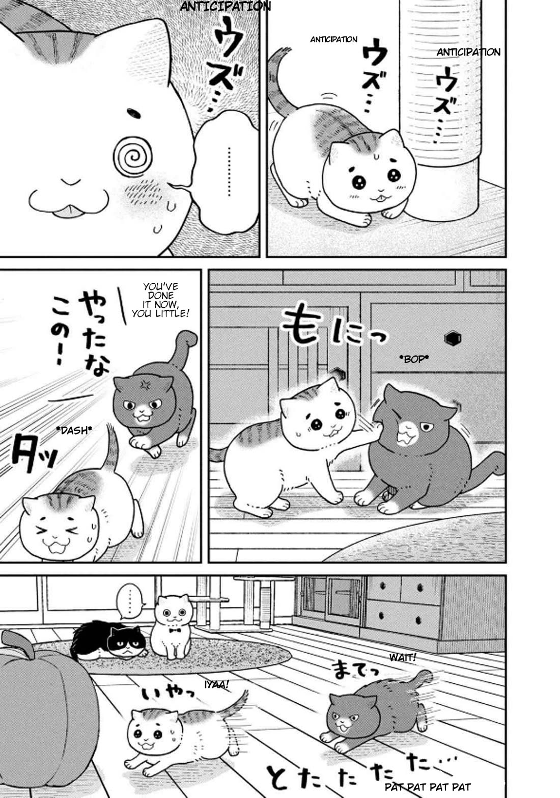 Cat Partners: Maruru and Hachi chapter 32 page 3