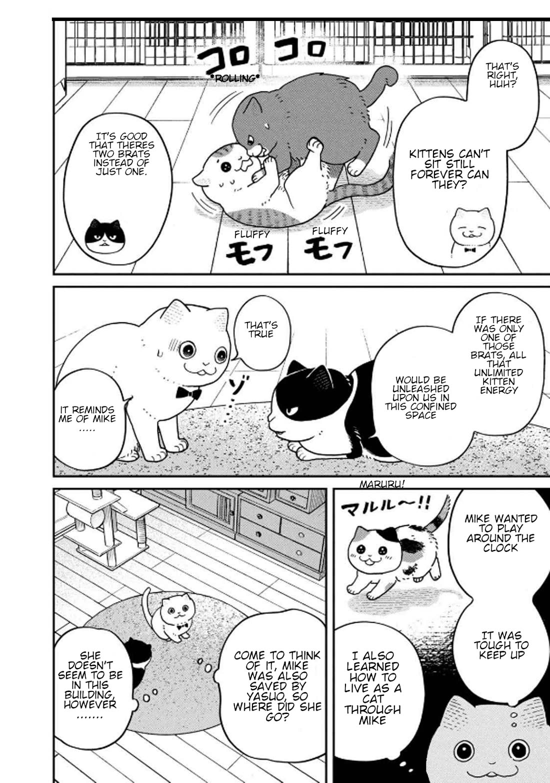 Cat Partners: Maruru and Hachi chapter 32 page 4
