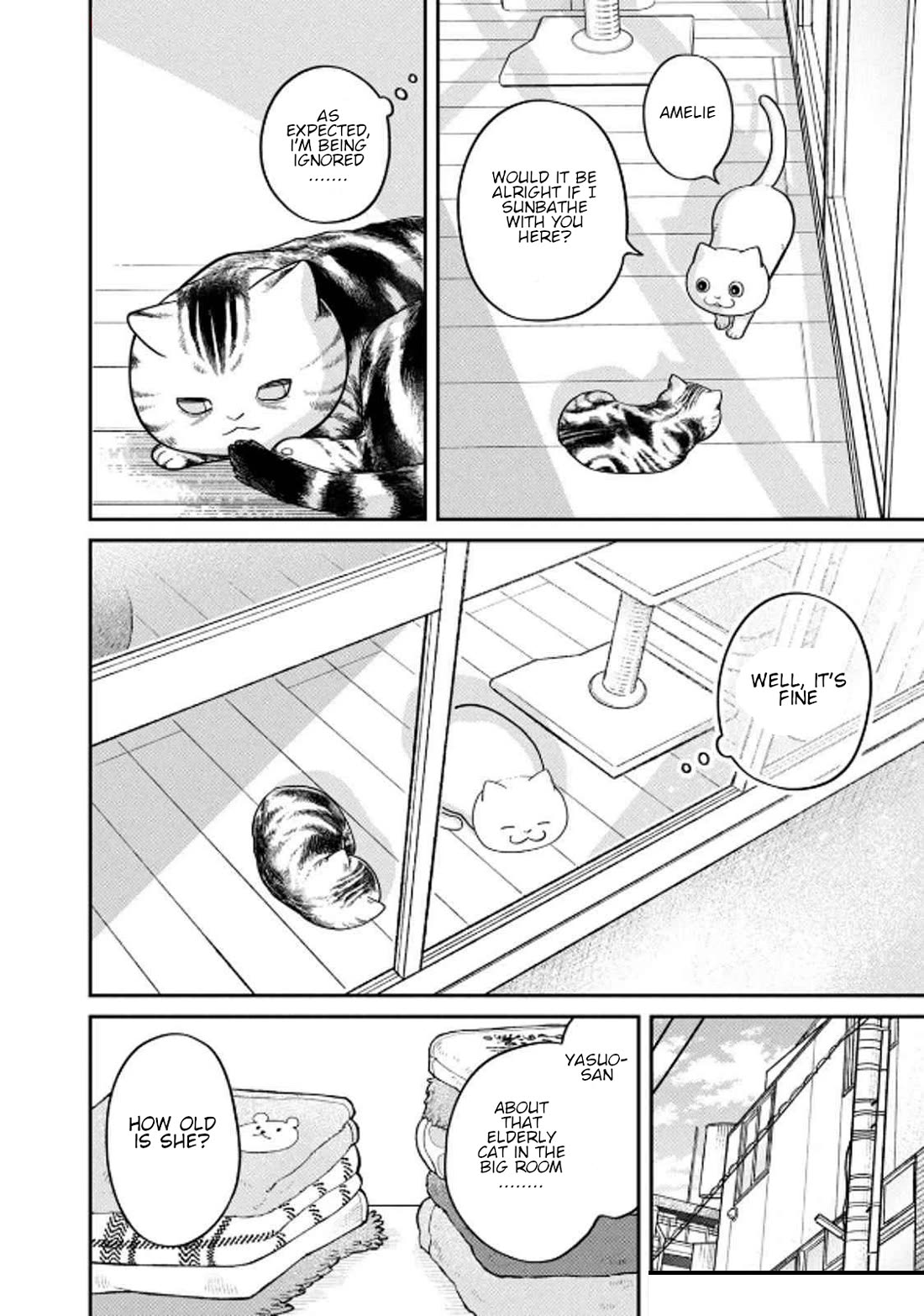 Cat Partners: Maruru and Hachi chapter 32 page 6