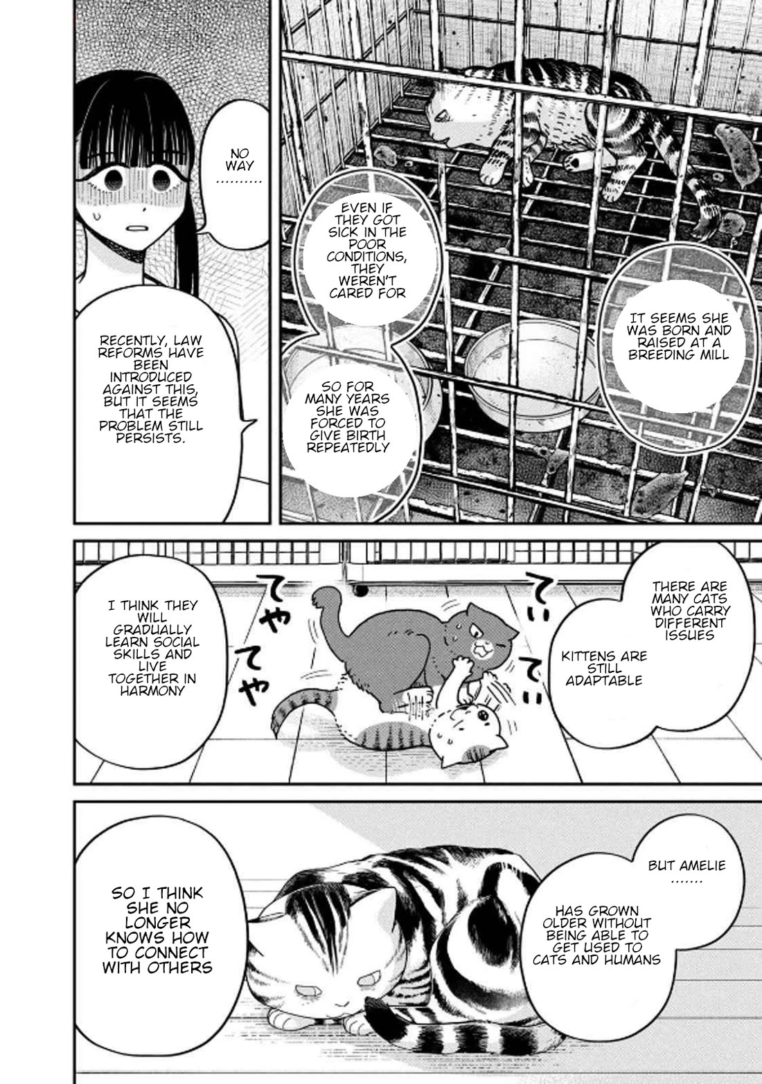 Cat Partners: Maruru and Hachi chapter 32 page 8