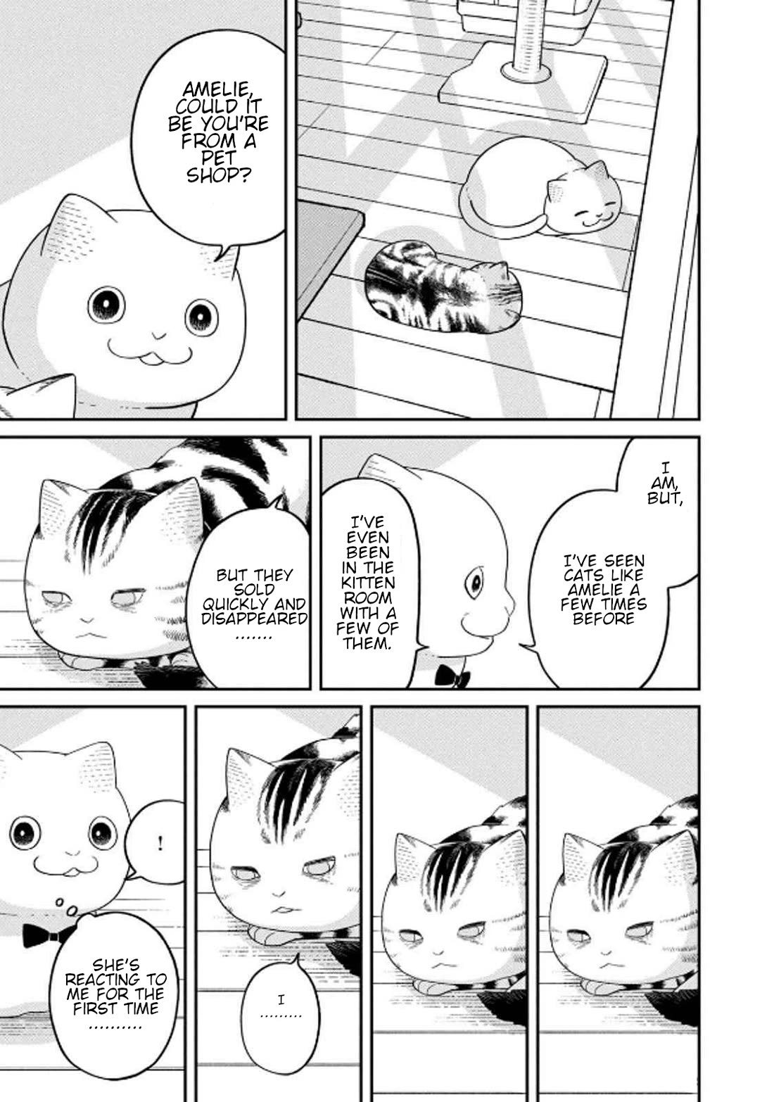 Cat Partners: Maruru and Hachi chapter 32 page 9