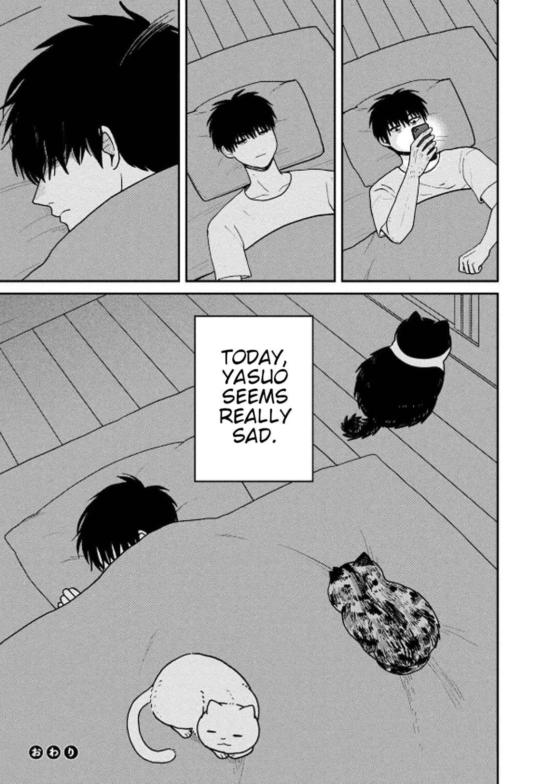 Cat Partners: Maruru and Hachi chapter 33 page 13