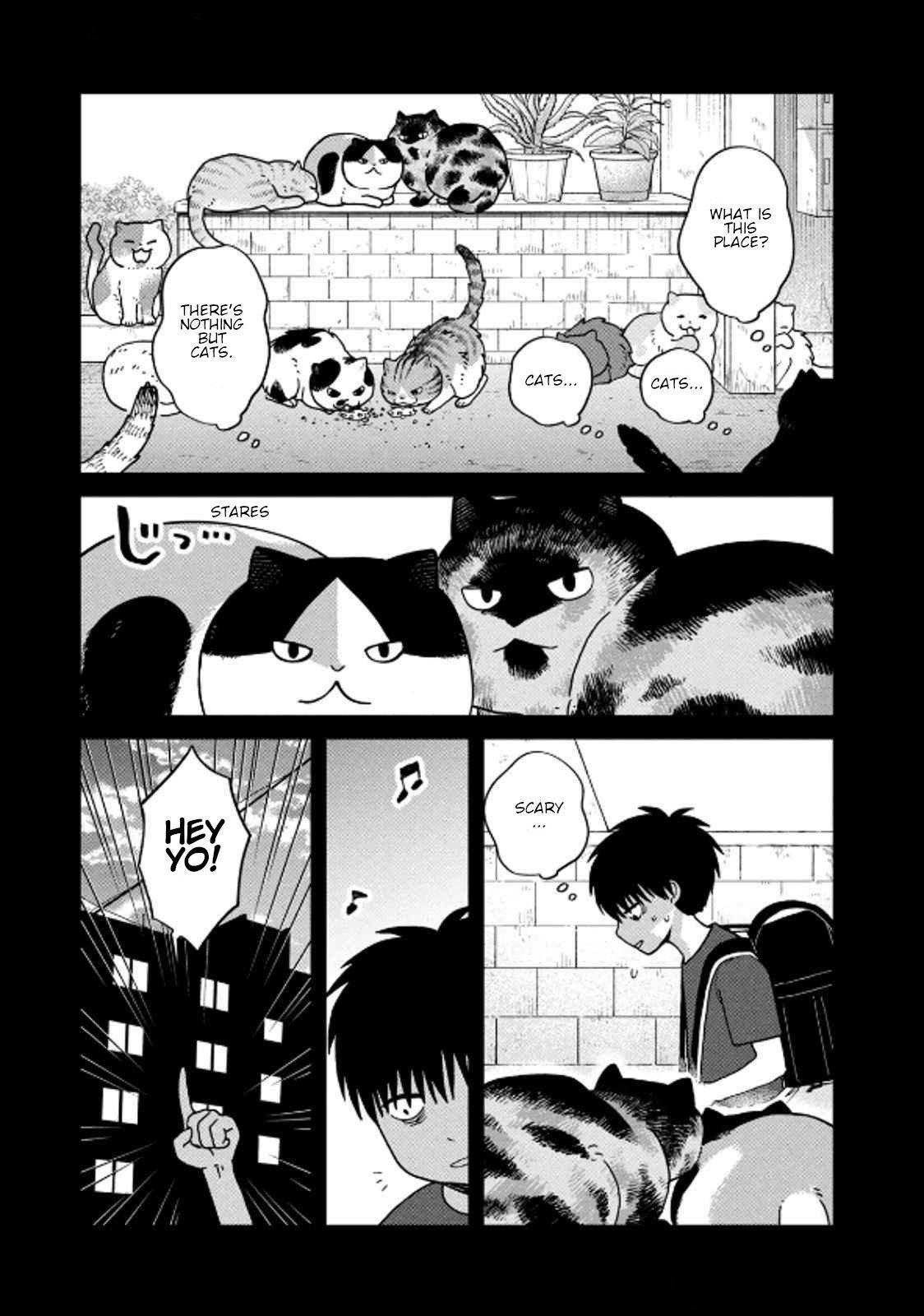Cat Partners: Maruru and Hachi chapter 34 page 2
