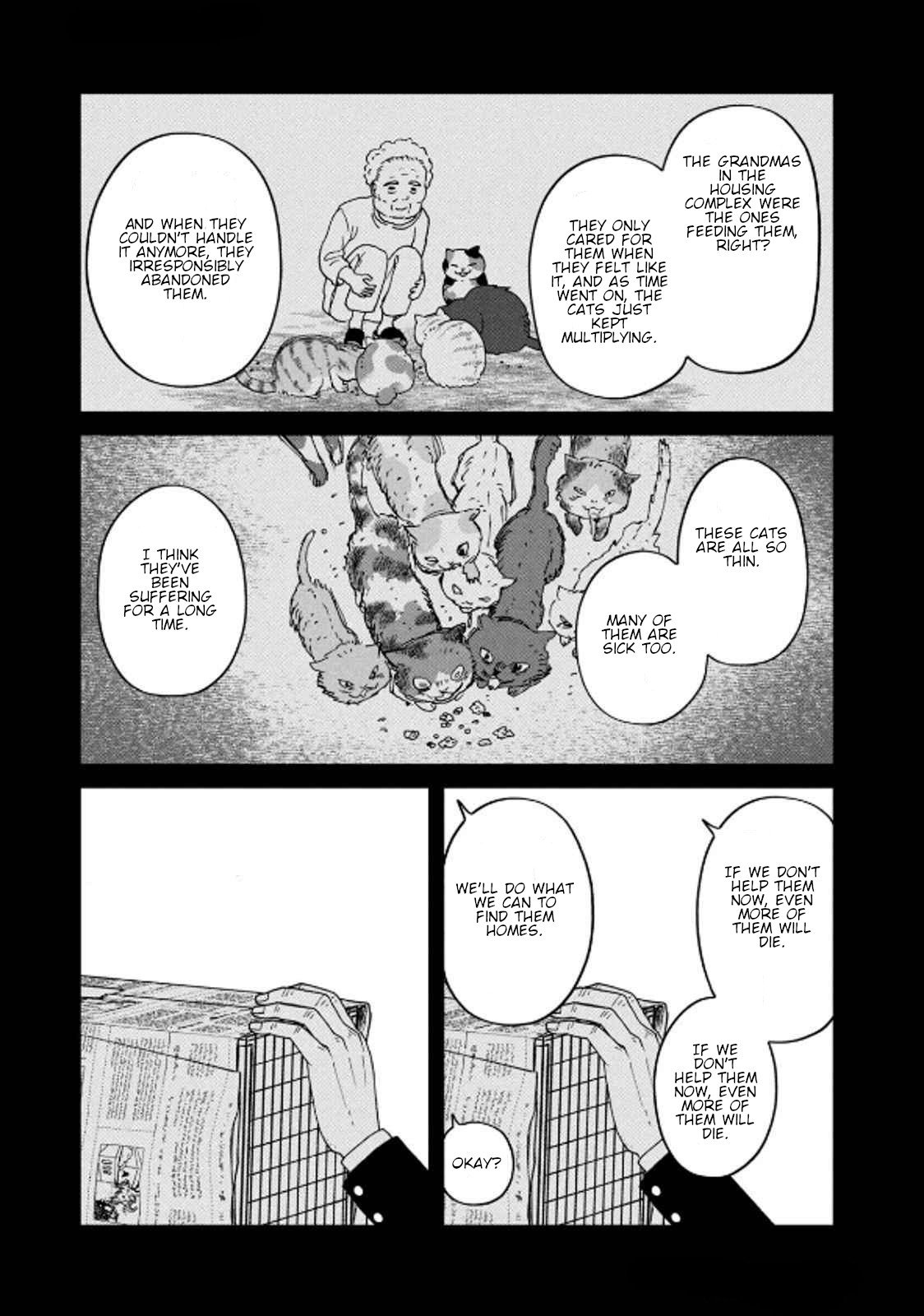 Cat Partners: Maruru and Hachi chapter 36 page 11