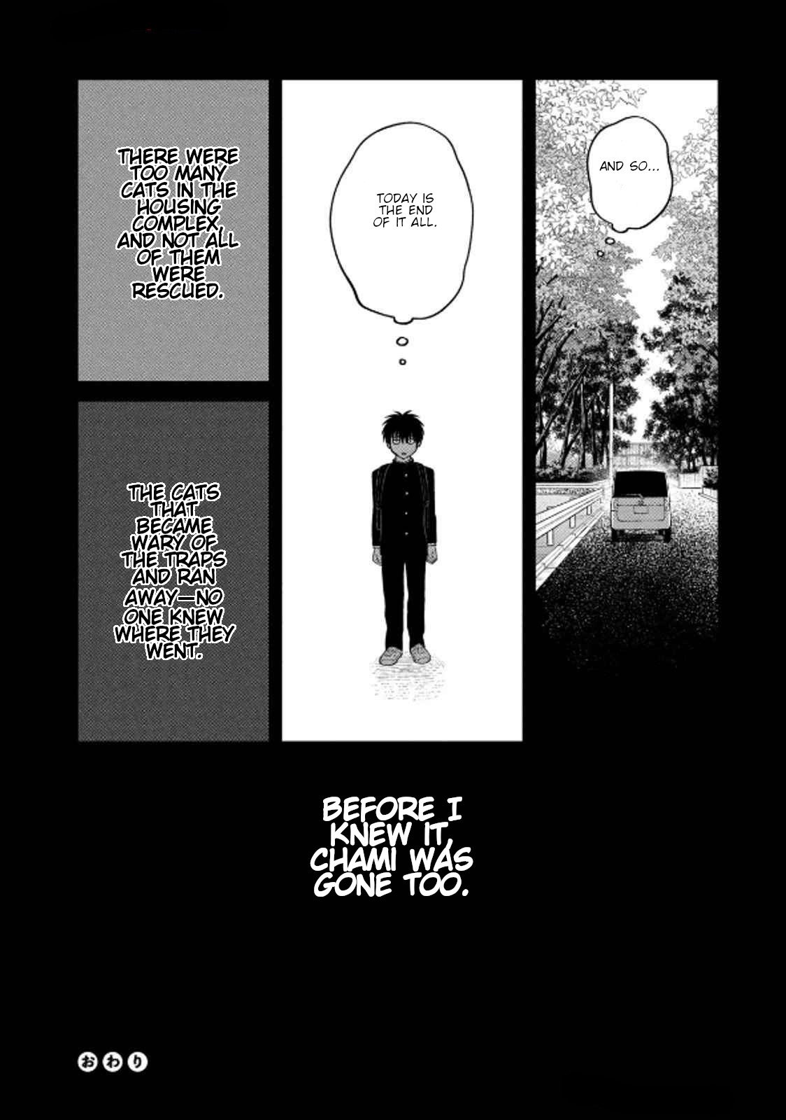 Cat Partners: Maruru and Hachi chapter 36 page 14