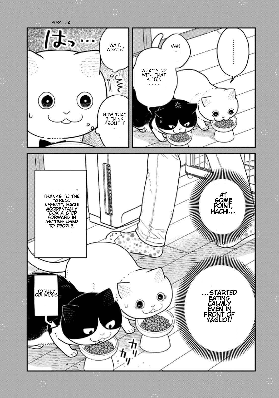 Cat Partners: Maruru and Hachi chapter 36 page 16