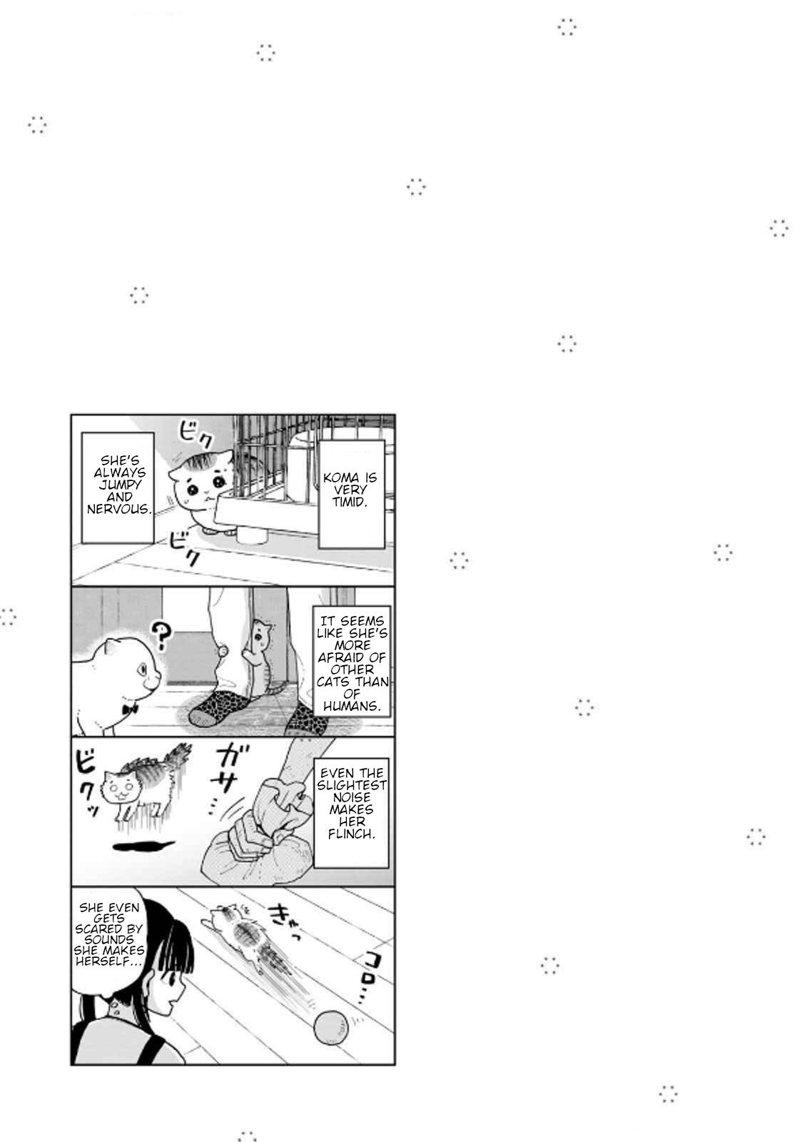 Cat Partners: Maruru and Hachi chapter 36 page 17