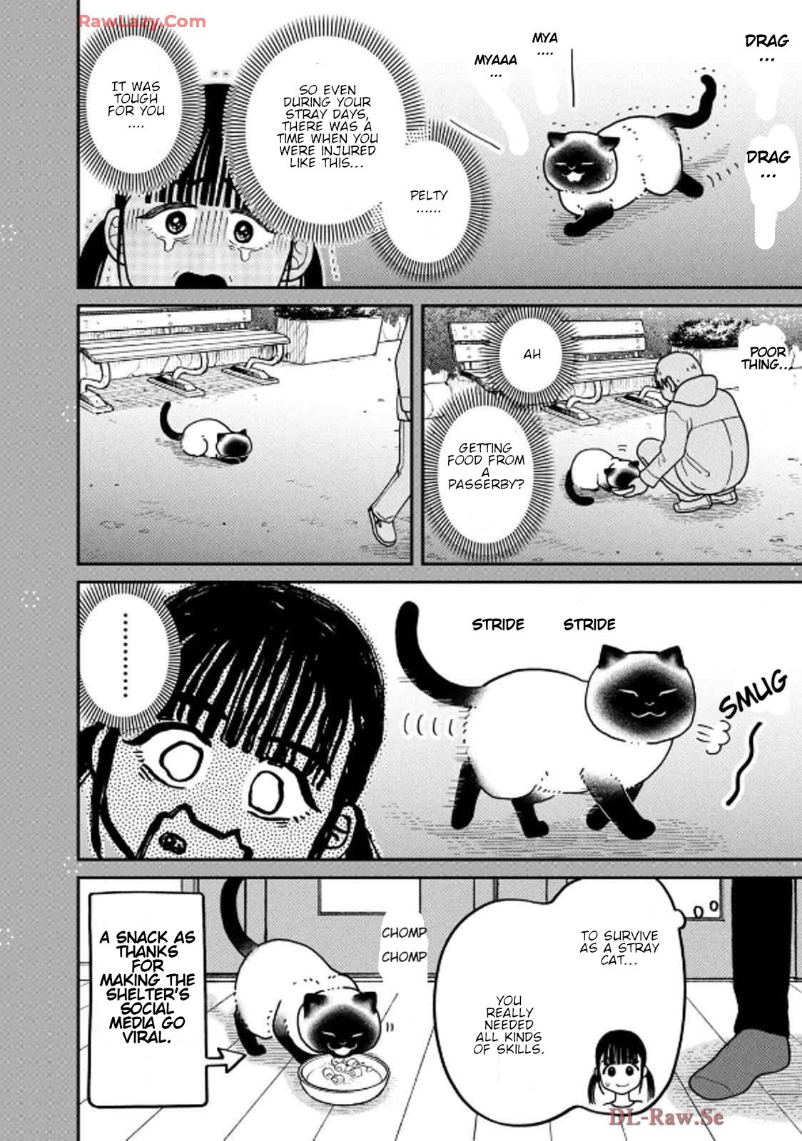 Cat Partners: Maruru and Hachi chapter 36 page 19