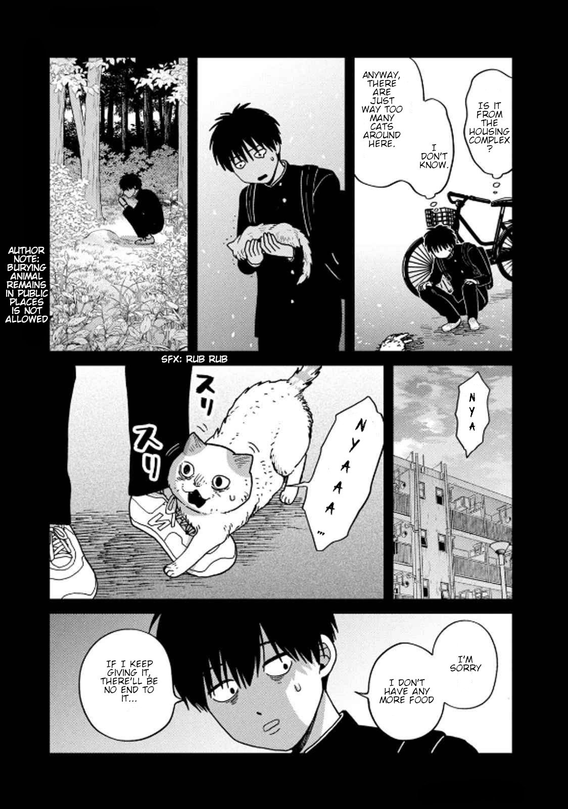 Cat Partners: Maruru and Hachi chapter 36 page 3