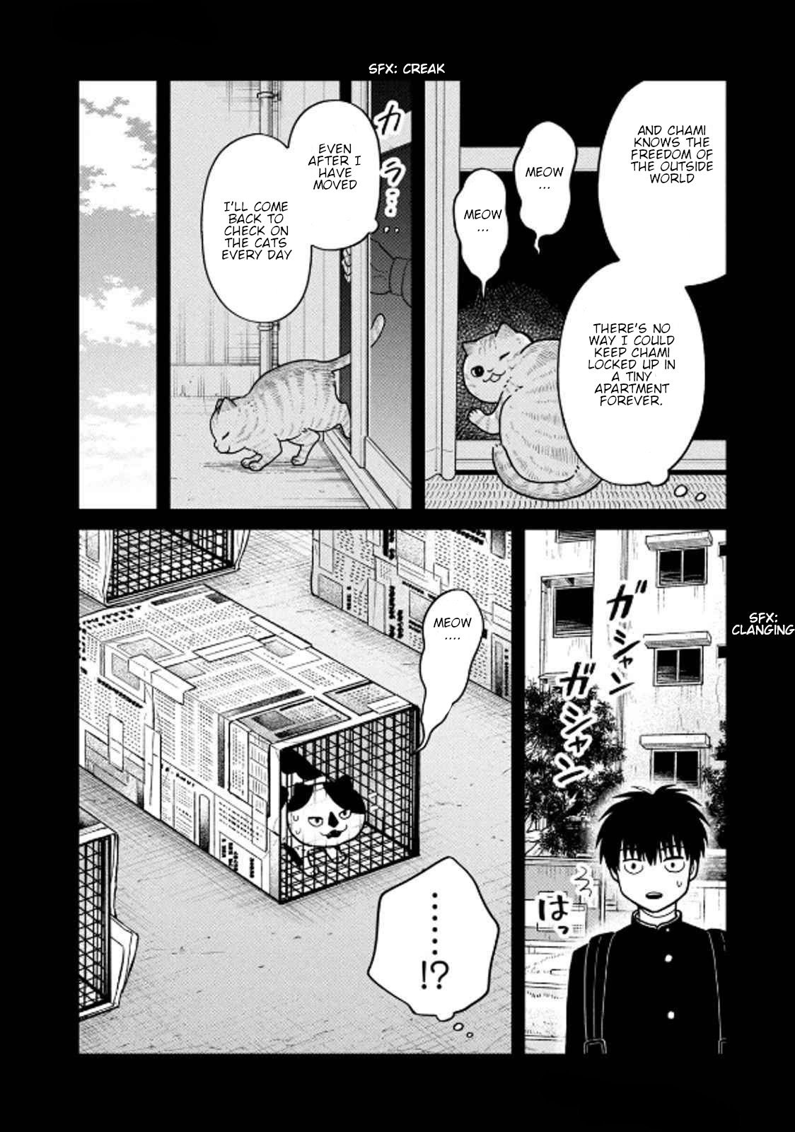 Cat Partners: Maruru and Hachi chapter 36 page 6