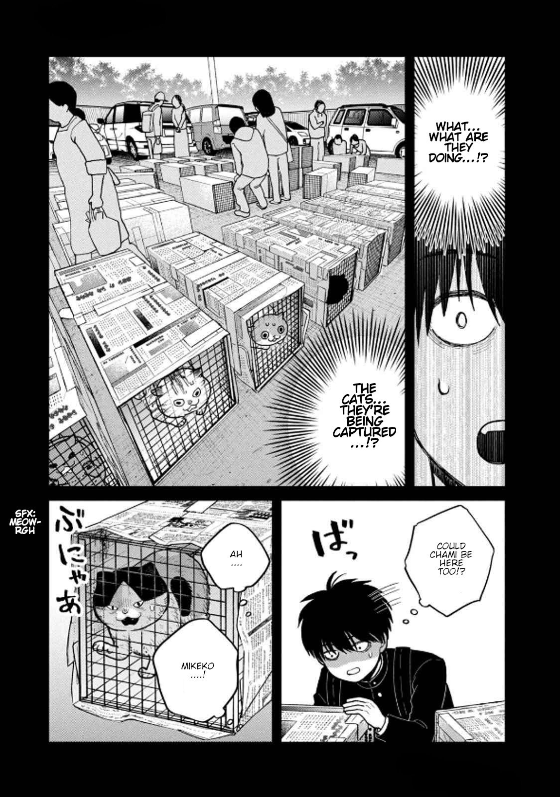 Cat Partners: Maruru and Hachi chapter 36 page 7