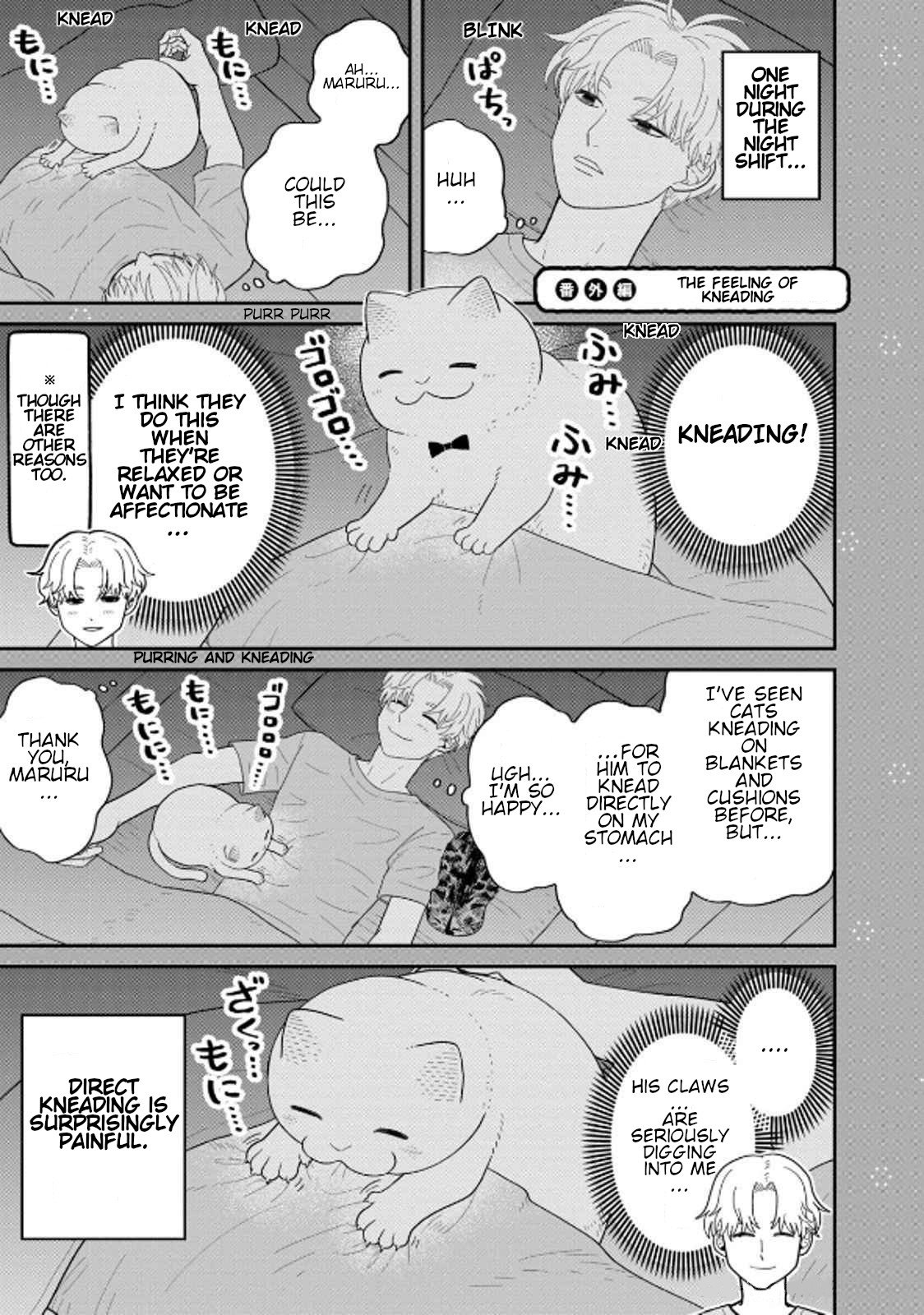 Cat Partners: Maruru and Hachi chapter 38 page 12