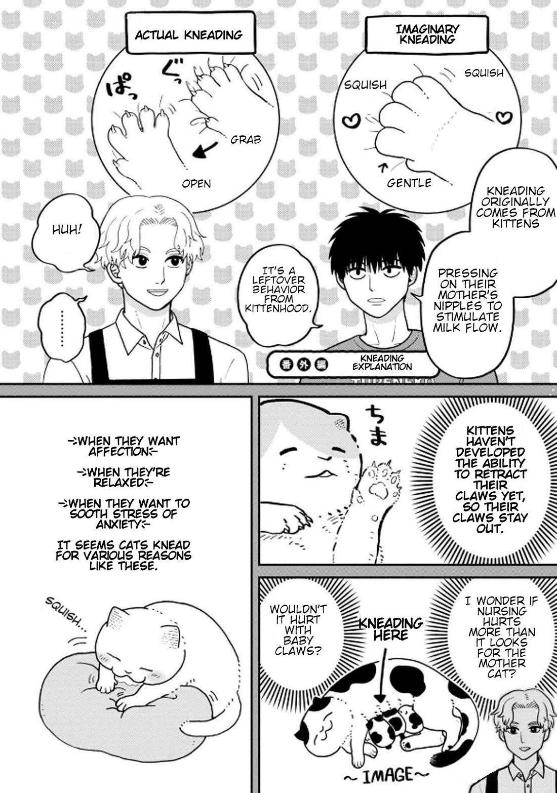 Cat Partners: Maruru and Hachi chapter 38 page 13