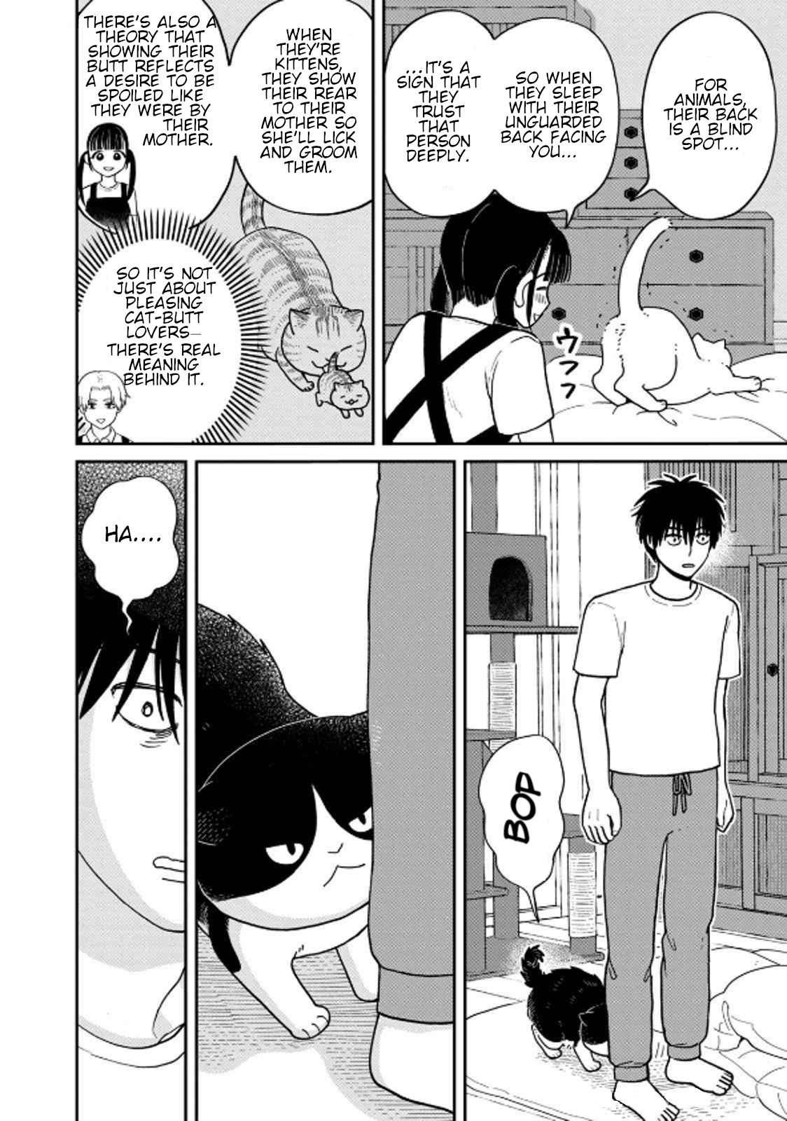 Cat Partners: Maruru and Hachi chapter 38 page 8