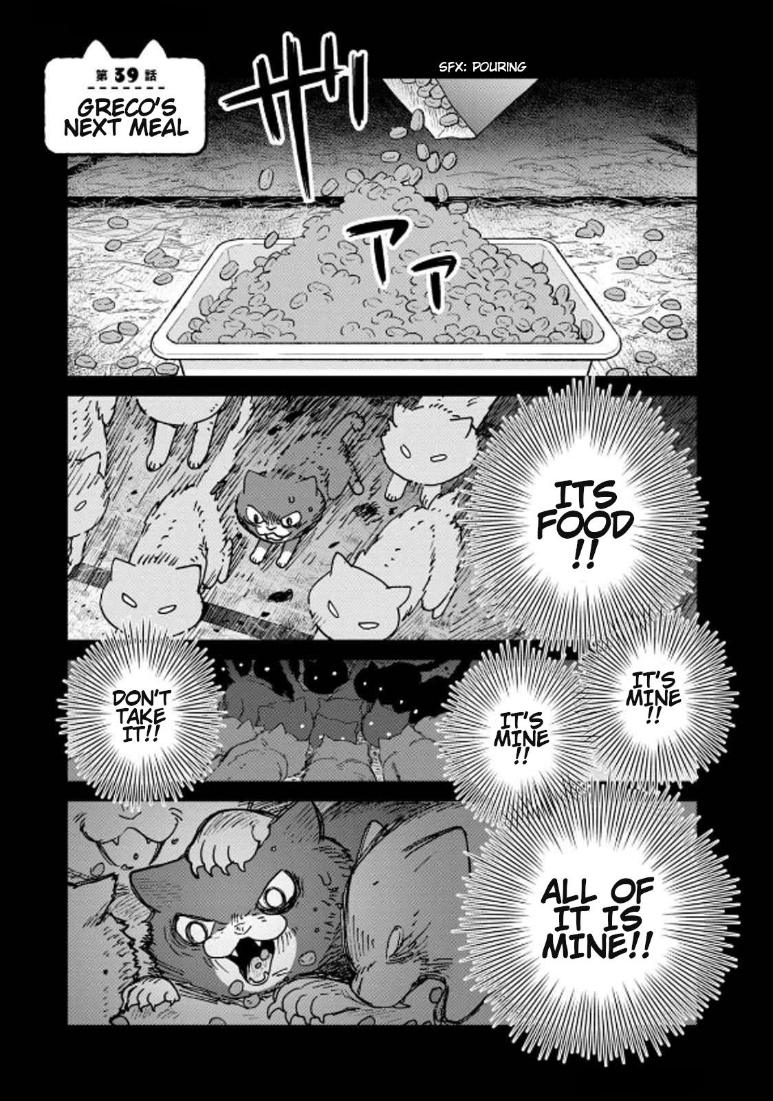 Cat Partners: Maruru and Hachi chapter 39 page 1