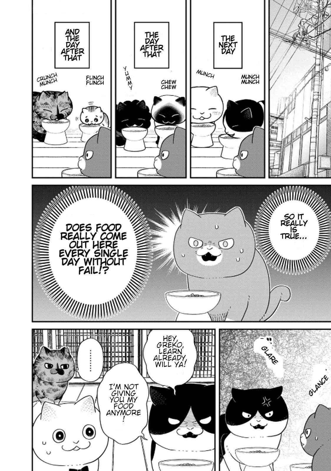 Cat Partners: Maruru and Hachi chapter 39 page 10