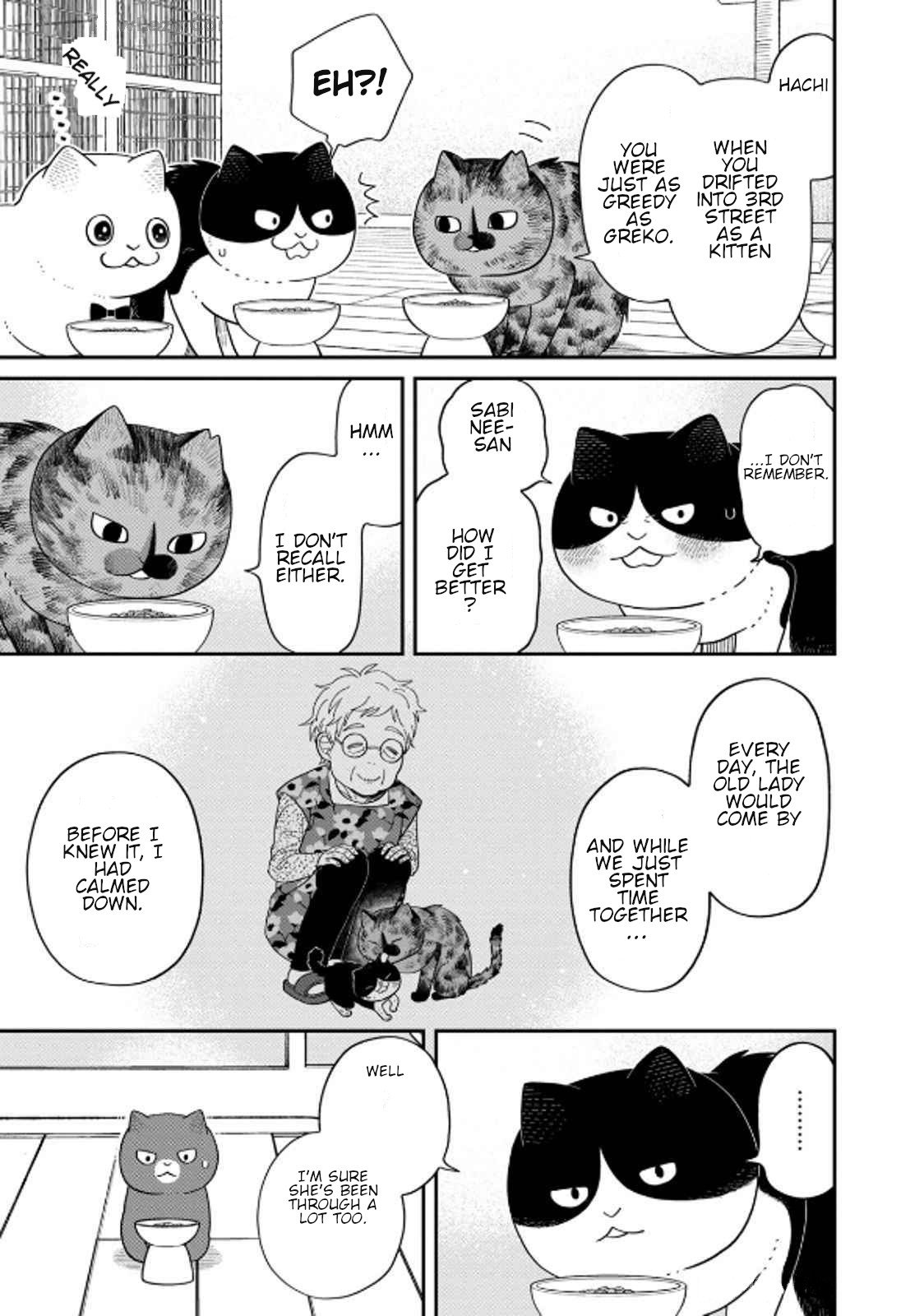 Cat Partners: Maruru and Hachi chapter 39 page 11