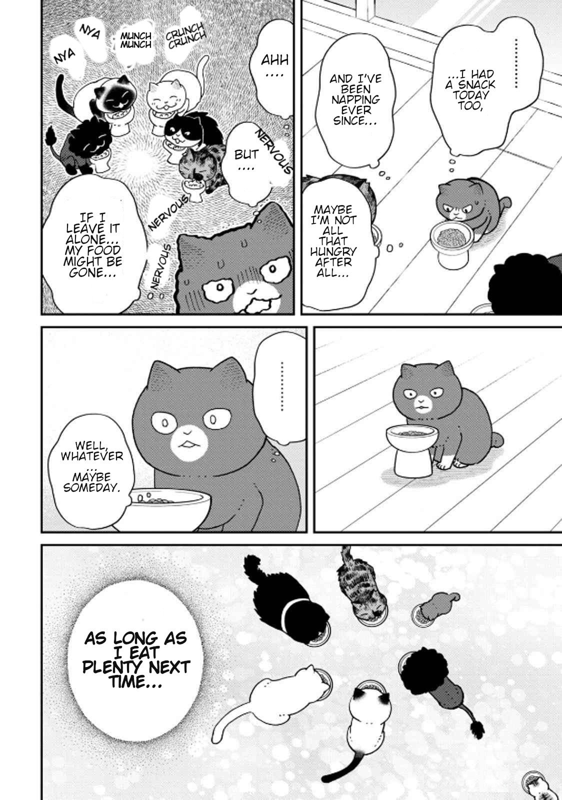 Cat Partners: Maruru and Hachi chapter 39 page 12